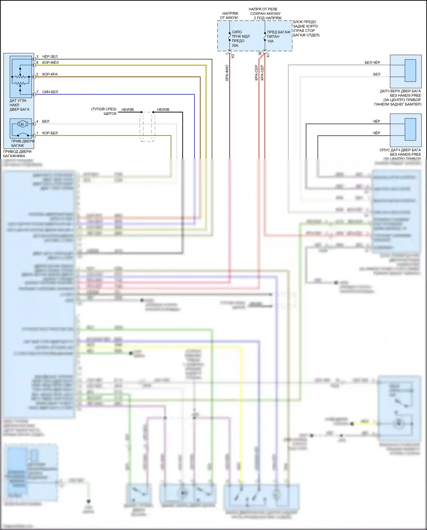 CT6 Cadillac I (2016-2019): Электросхема двери силового багажника 