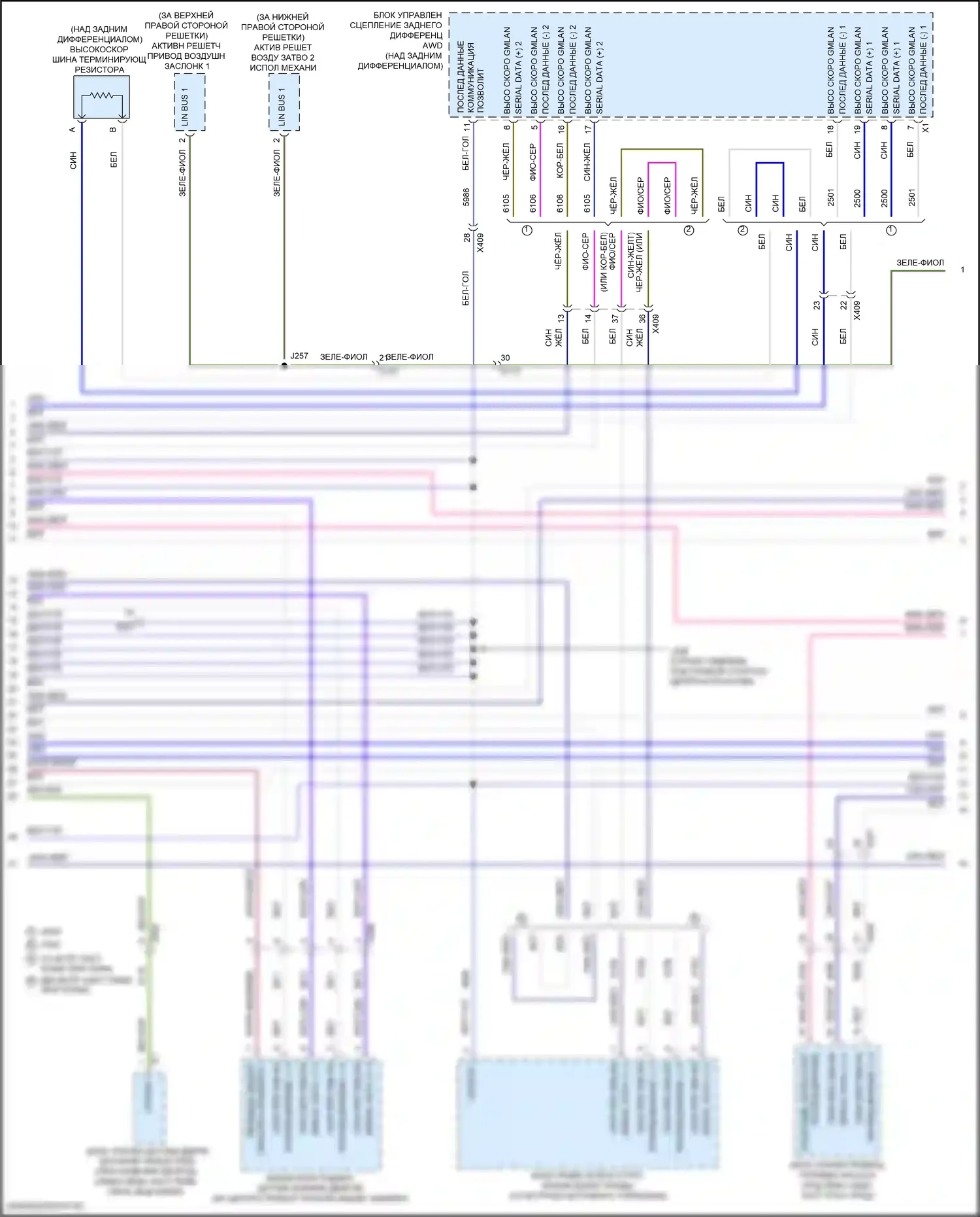 XT5 Cadillac I рестайлинг (2019-2024): Can шина электросхема (9 из 10) 