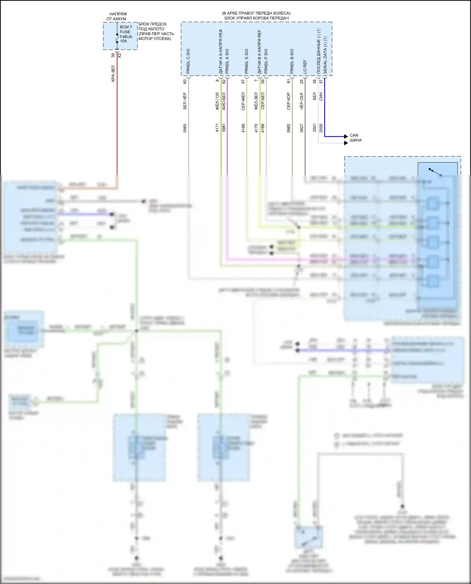 Camaro Chevrolet VI рестайлинг (2018-2024): Электросхема фонарей заднего хода 
