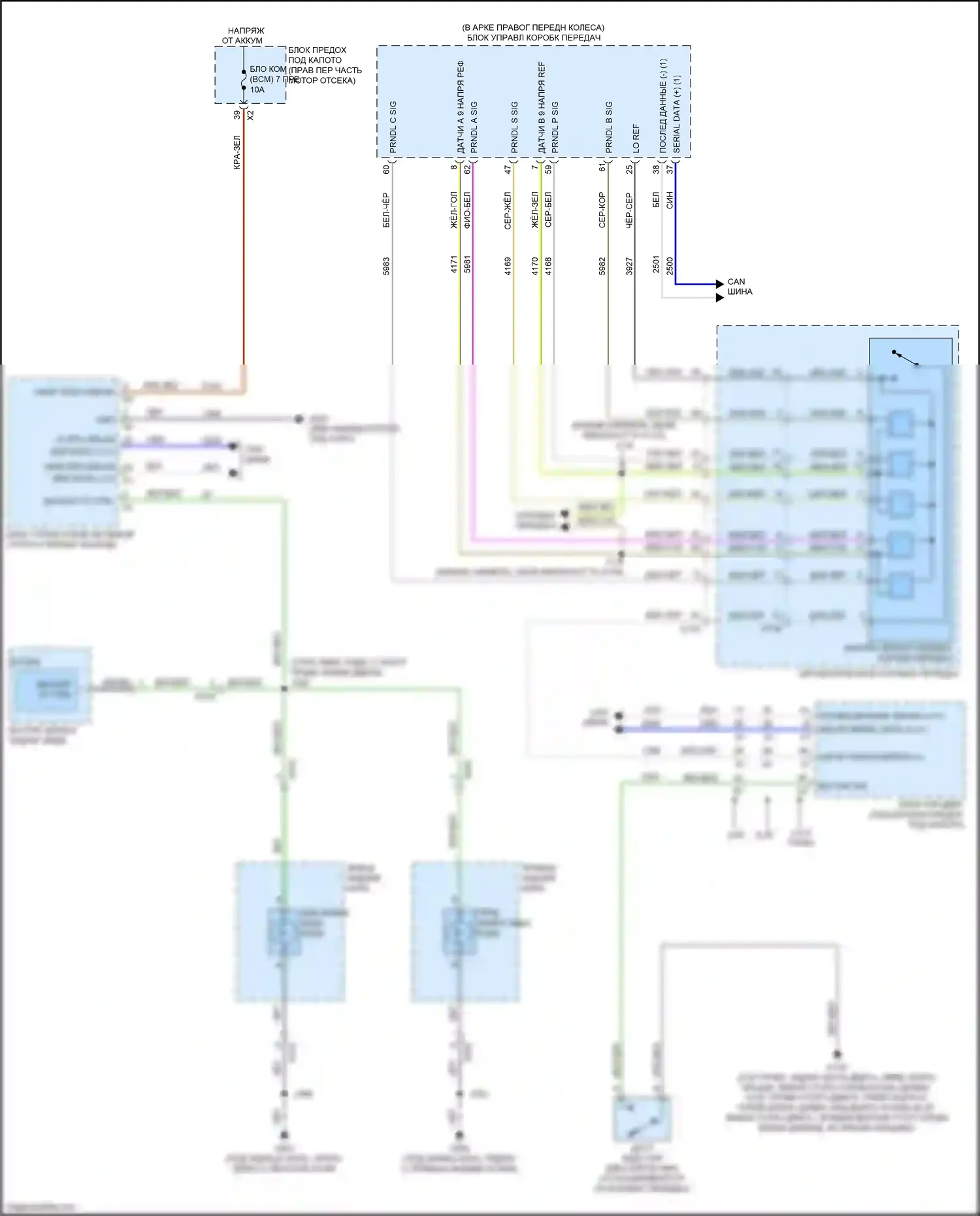 Camaro Chevrolet VI (2015-2018): Электросхема фонарей заднего хода 