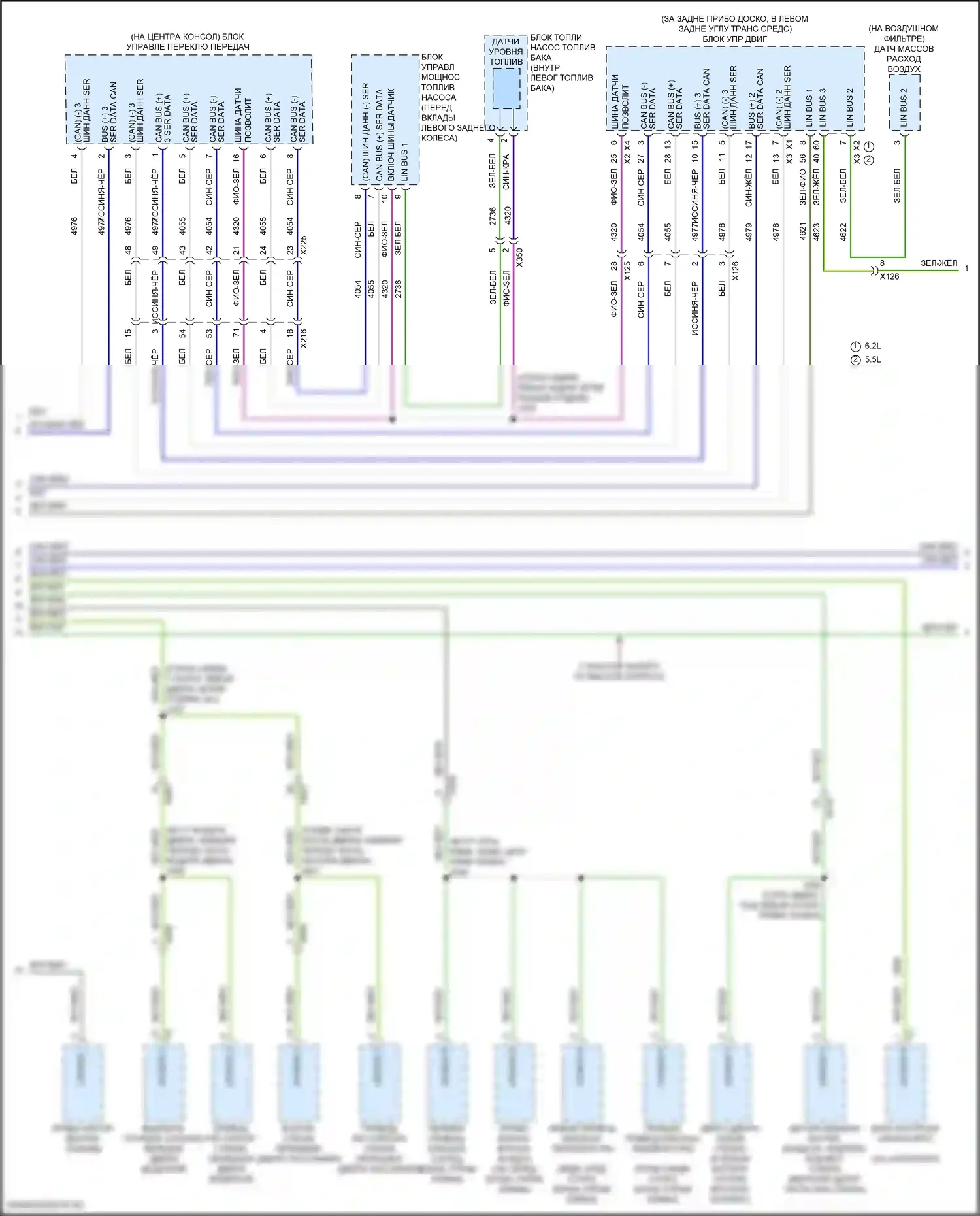 Corvette Chevrolet C8 (2020-2024): Can шина электросхема (4 из 6) 