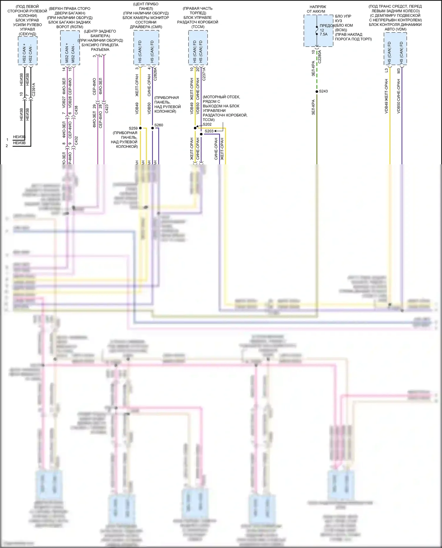 F-150 Ford XIV (2020-2024): Can шина электросхема (3 из 4) 