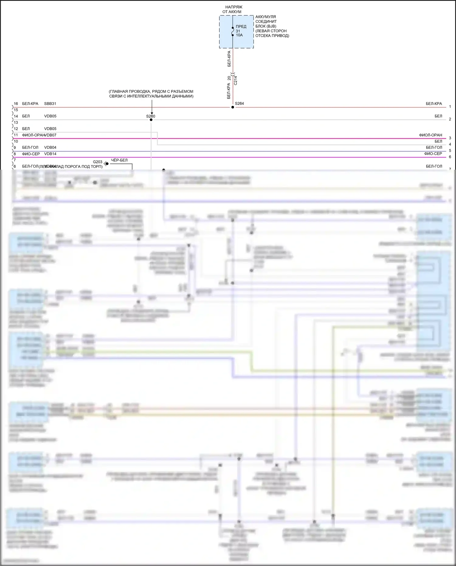 Focus RS Ford III (2016-2018): Can шина электросхема (1 из 3) 