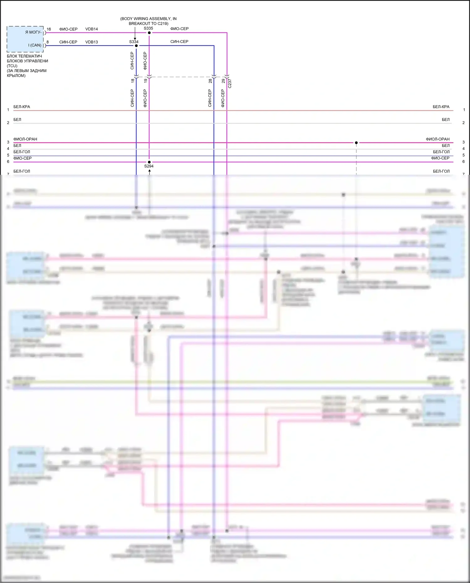 Focus ST Ford III рестайлинг (2015-2018): Can шина электросхема (2 из 3) 