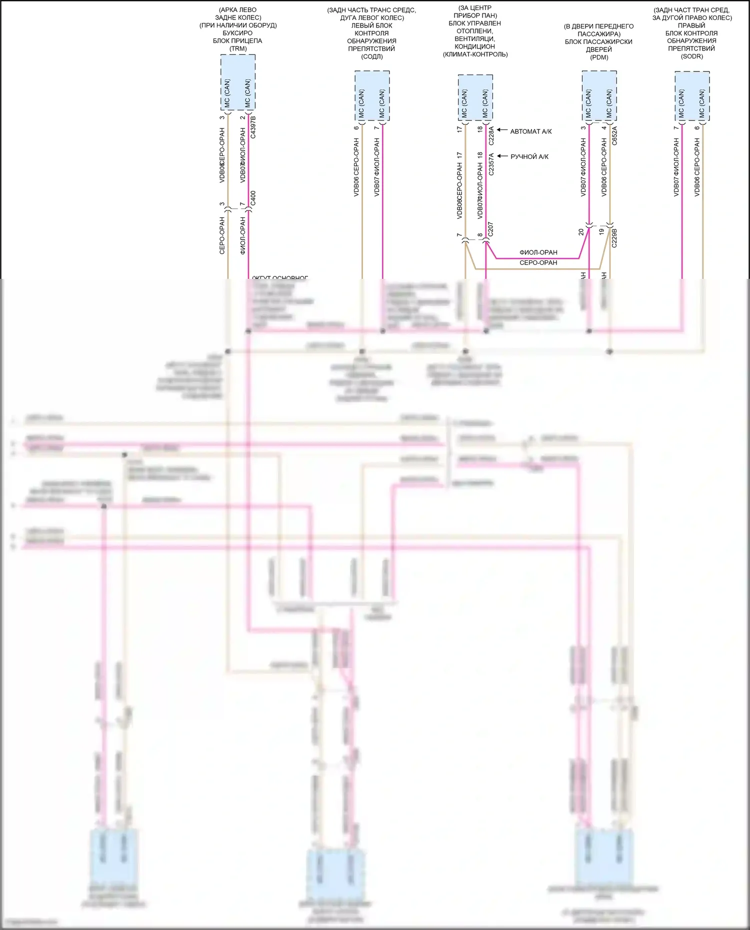 Kuga Ford III (2019-2024): Can шина электросхема (5 из 5) 