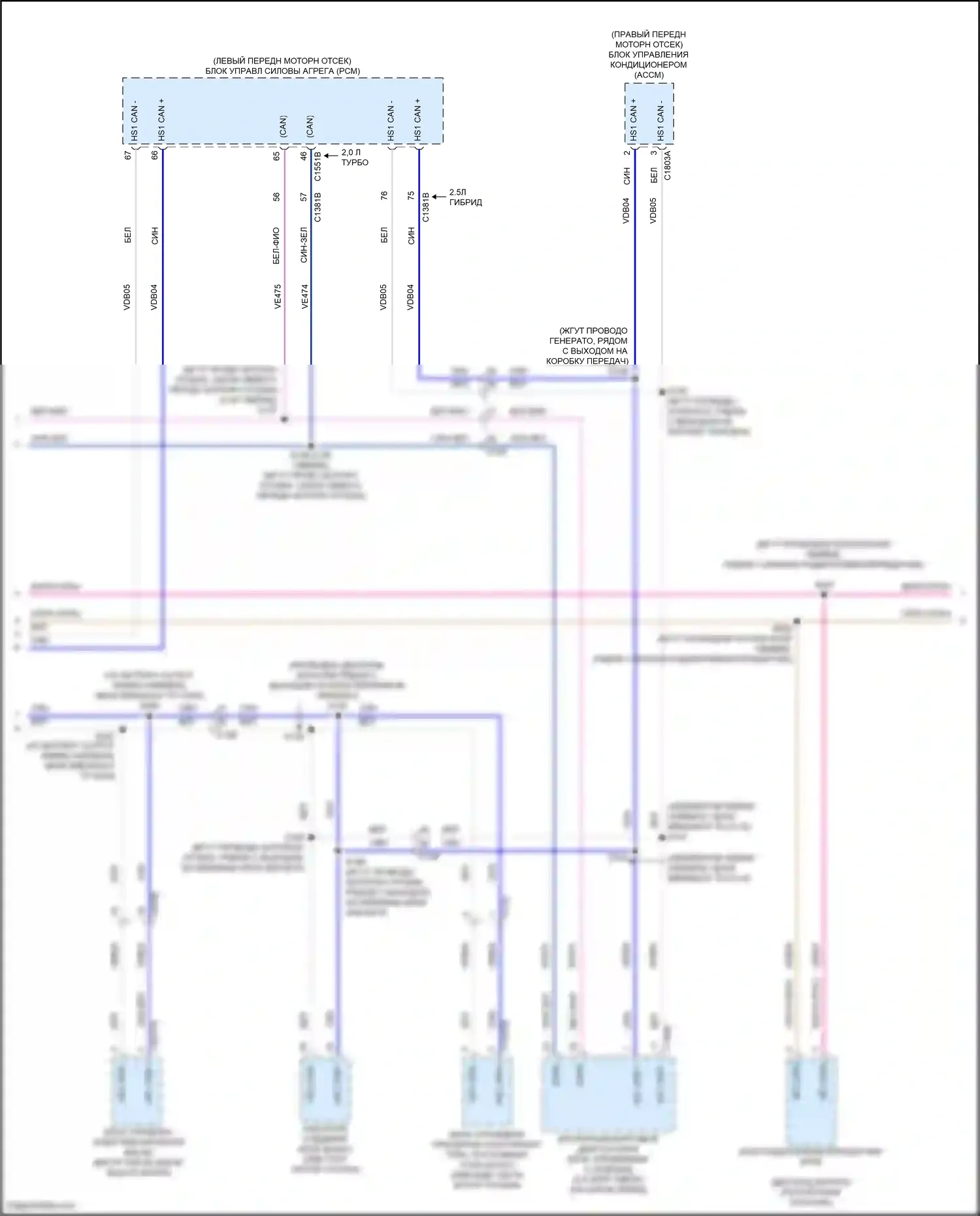Maverick Ford III (2021-2024): Can шина электросхема (4 из 5) 