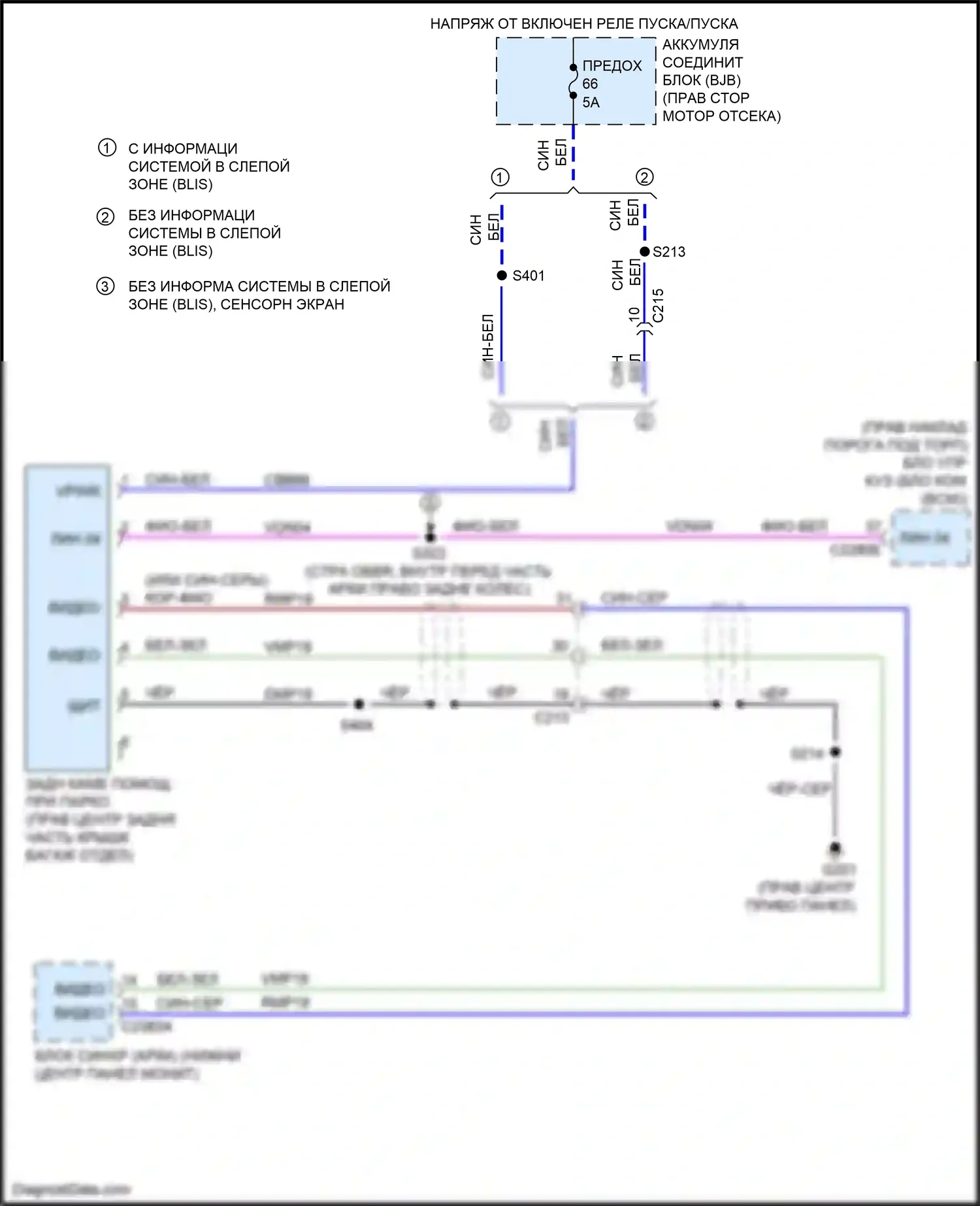 Mustang Ford VII (2022-2024): Электросхема задней камеры 