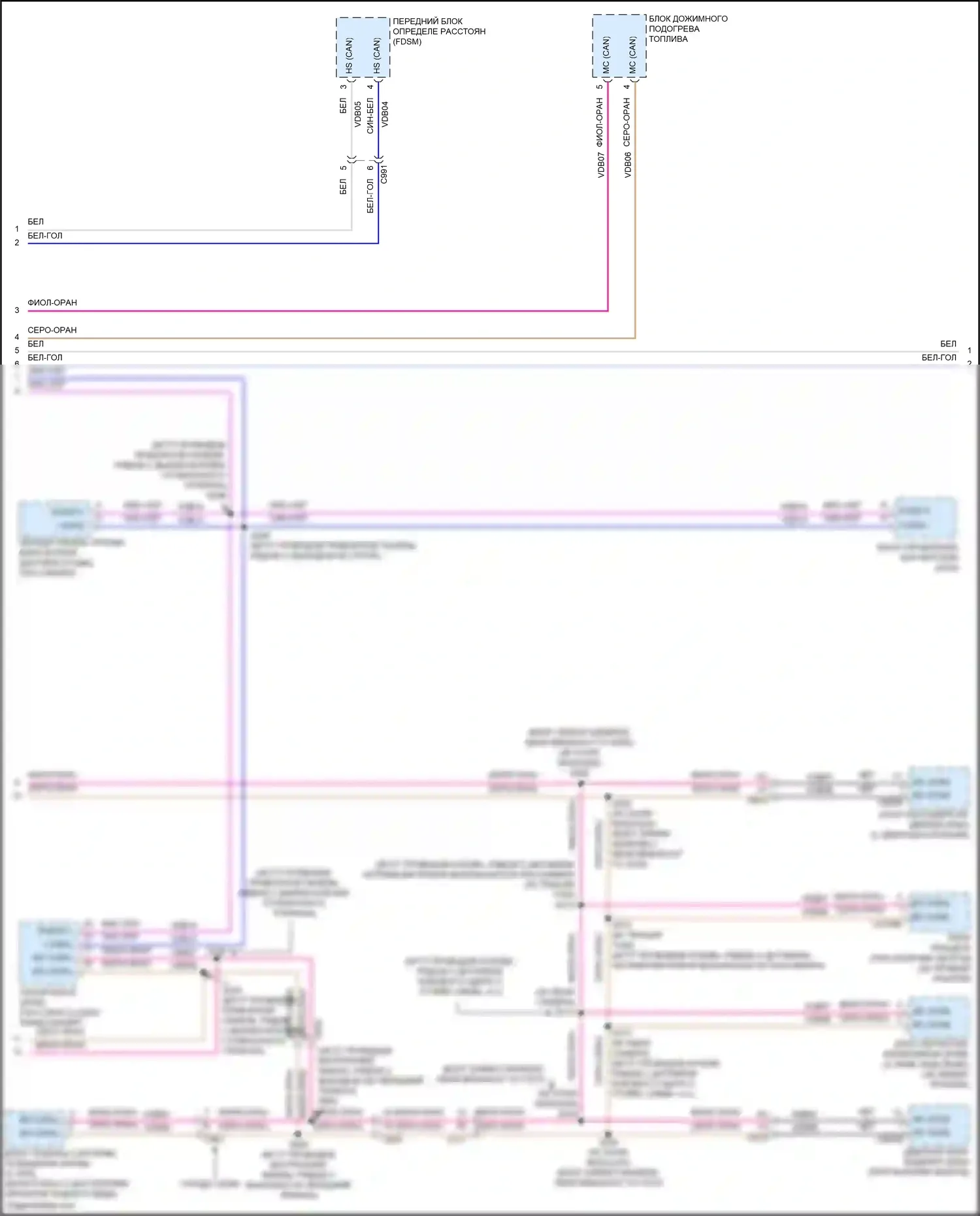 Tourneo Connect Ford II (2013-2018): Can шина электросхема (2 из 3) 