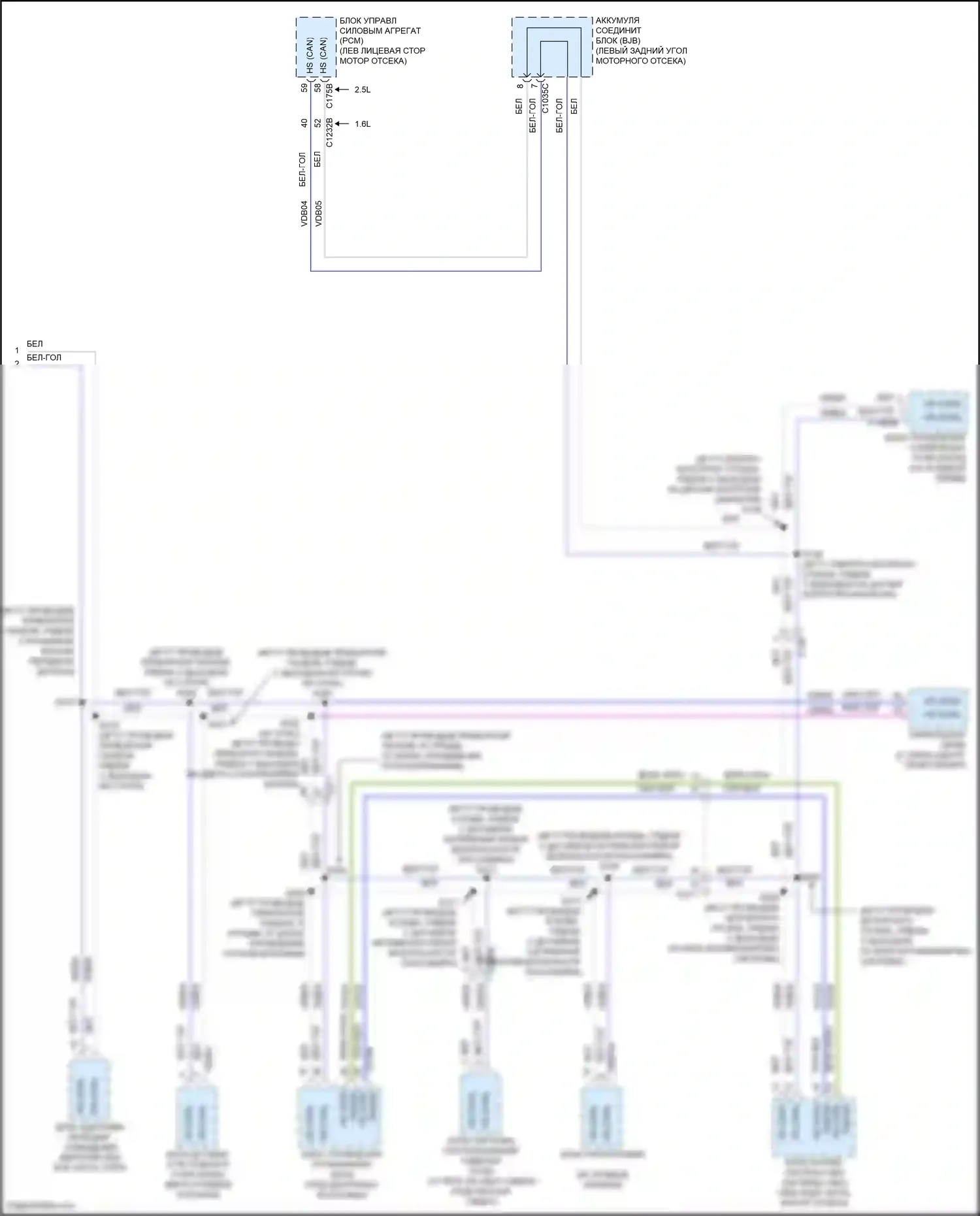 Tourneo Connect Ford II (2013-2018): Can шина электросхема (3 из 3) 