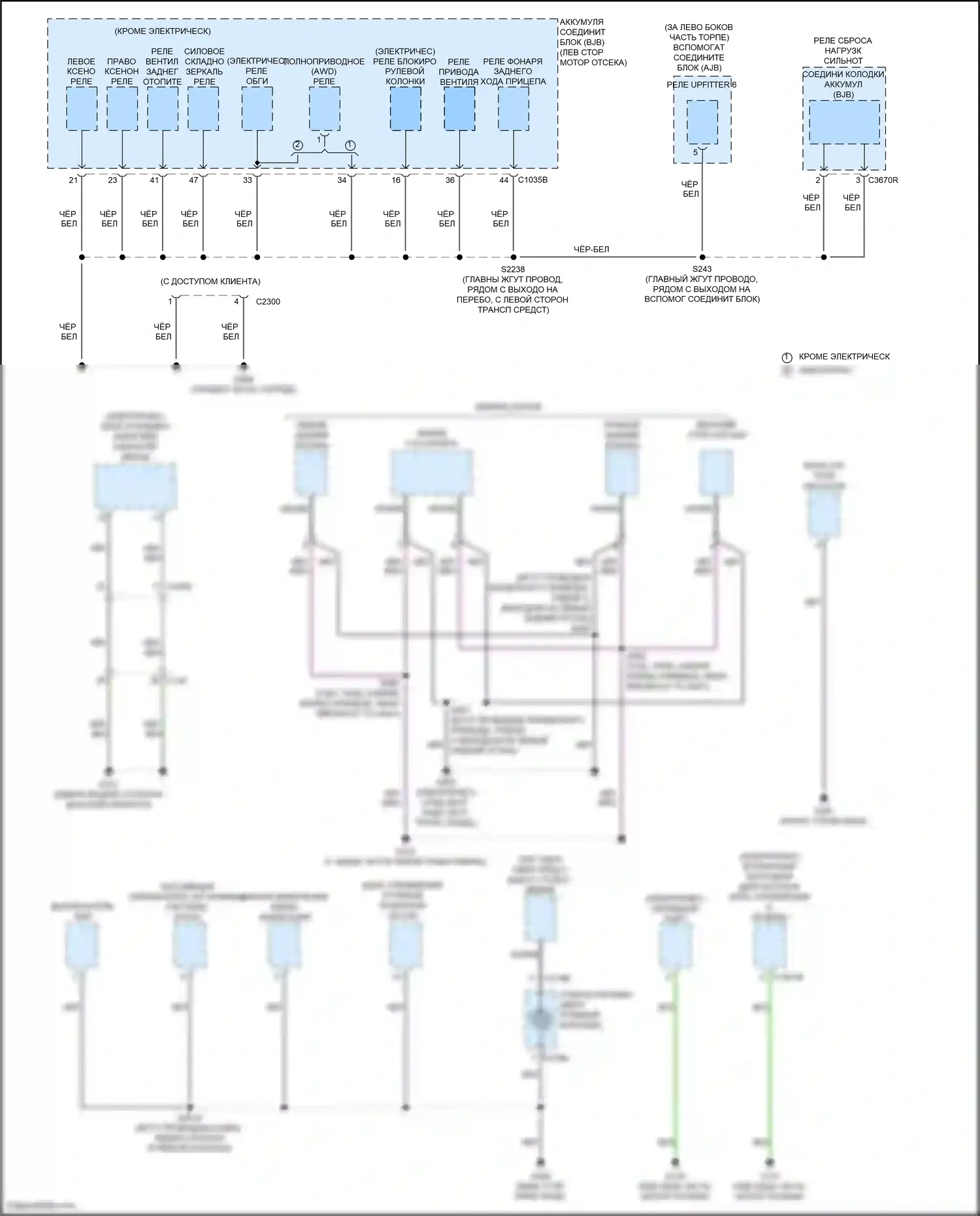 Transit Ford T8 (2023-2024): Электросхема разводки массы (5 из 11) 