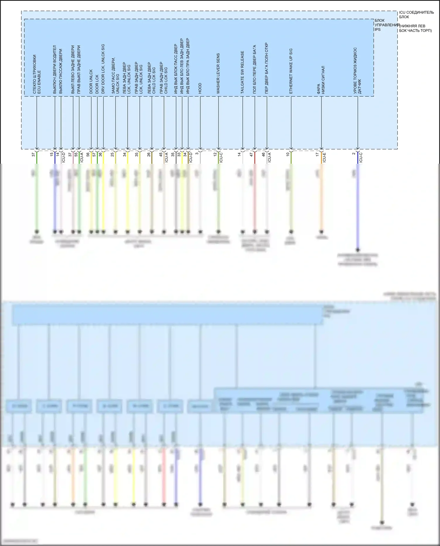GV70 Genesis I (2020-2024): Электросхема блока управления ips (2 из 2) 