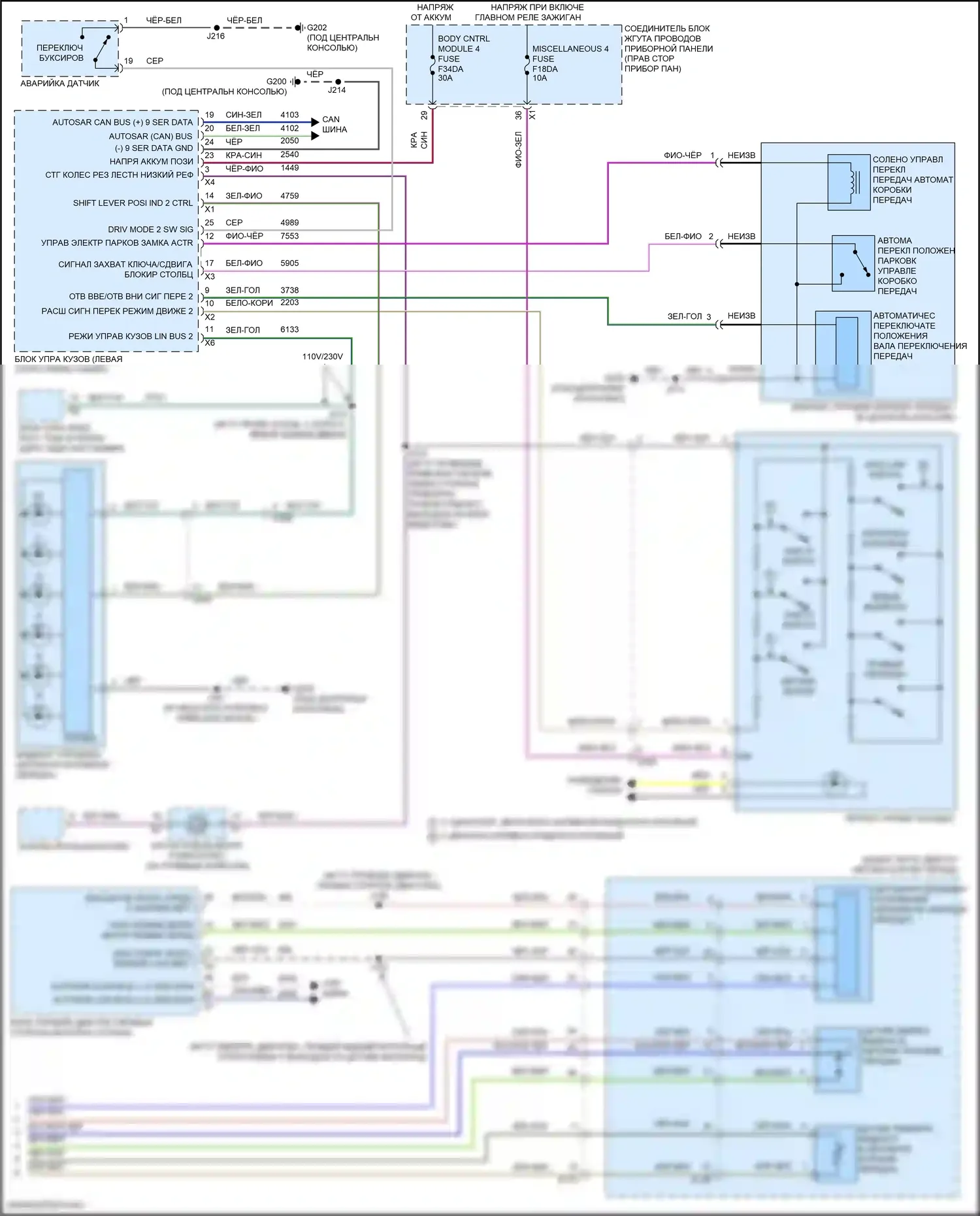 Canyon GMC III (2022-2024): Электросхема автоматической коробки передач (3 из 3) 