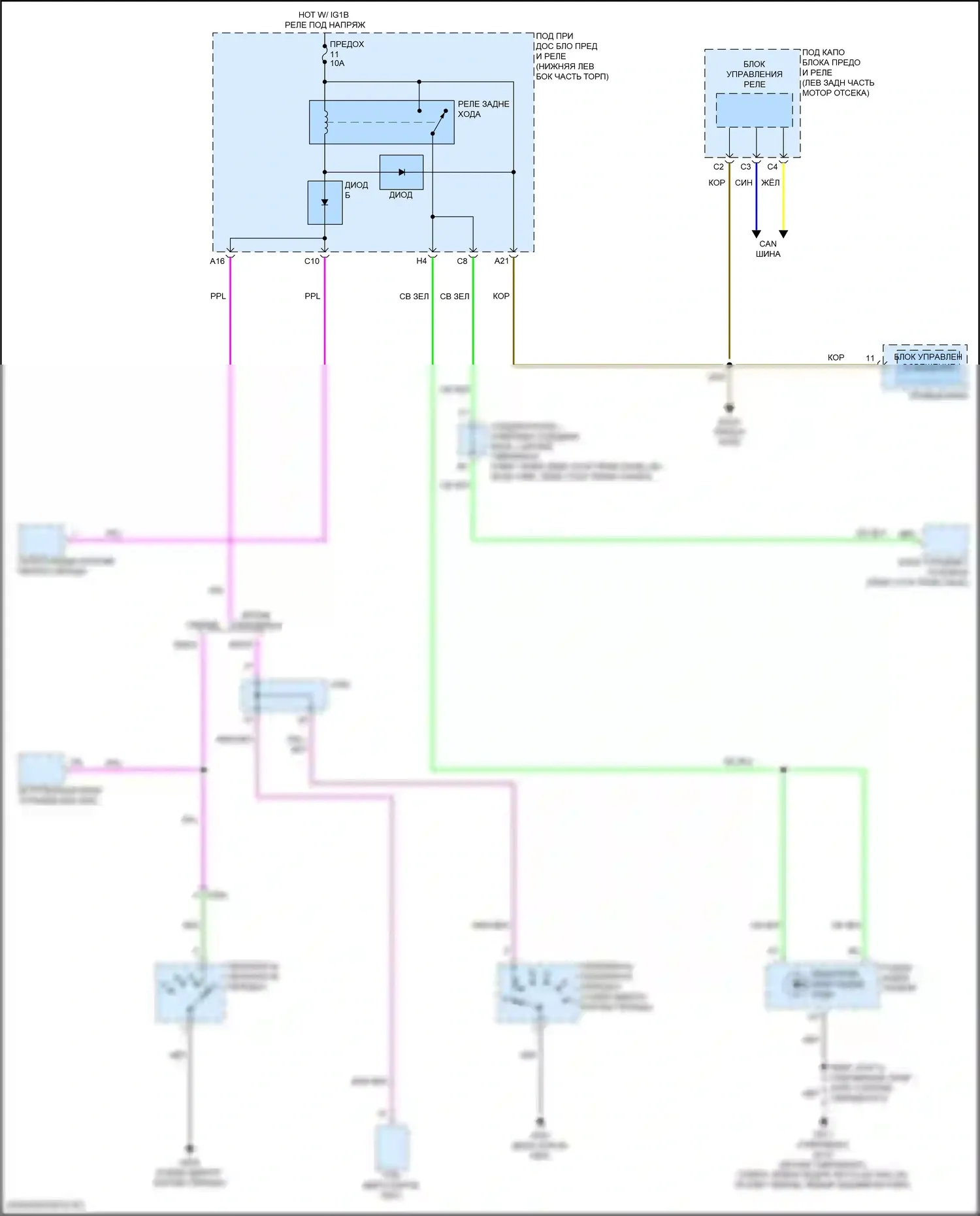 Accord Honda XI (2023-2024): Электросхема фонарей заднего хода 