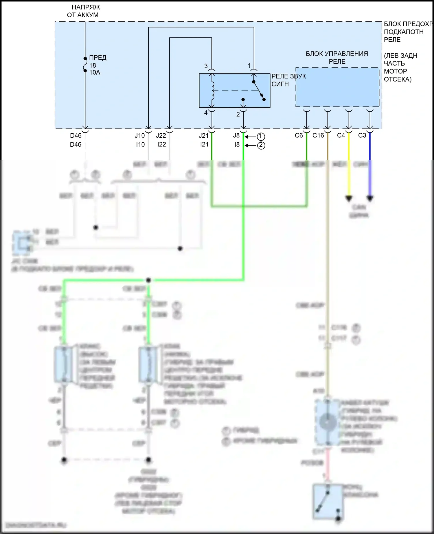 Accord Honda XI (2023-2024): Электросхема клаксона 