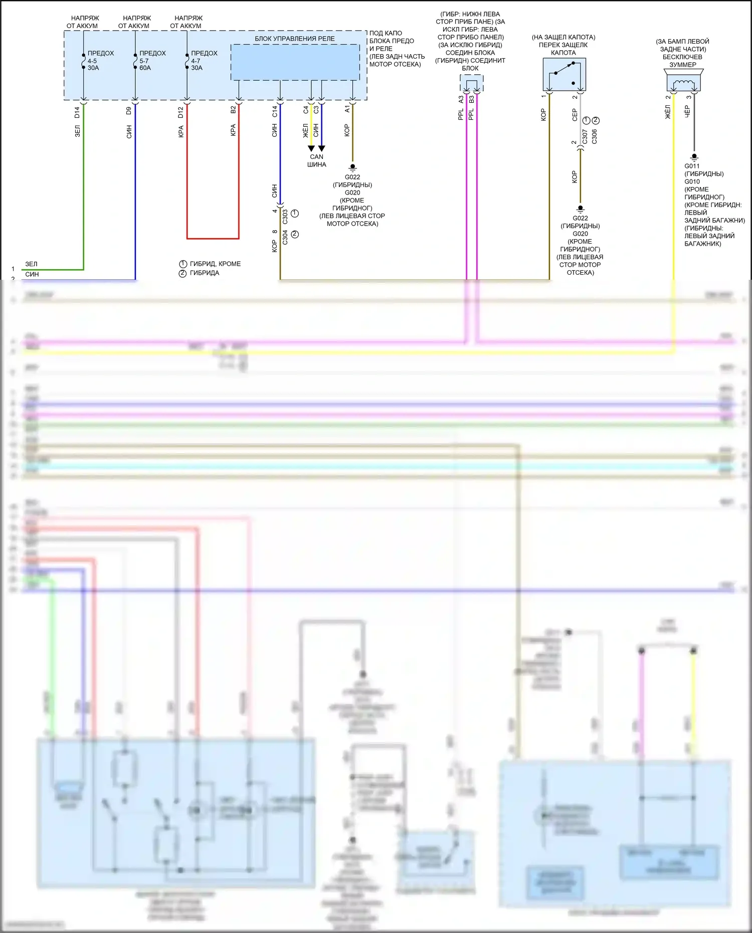 Accord Honda XI (2023-2024): Электросхема центрального замка (3 из 5) 