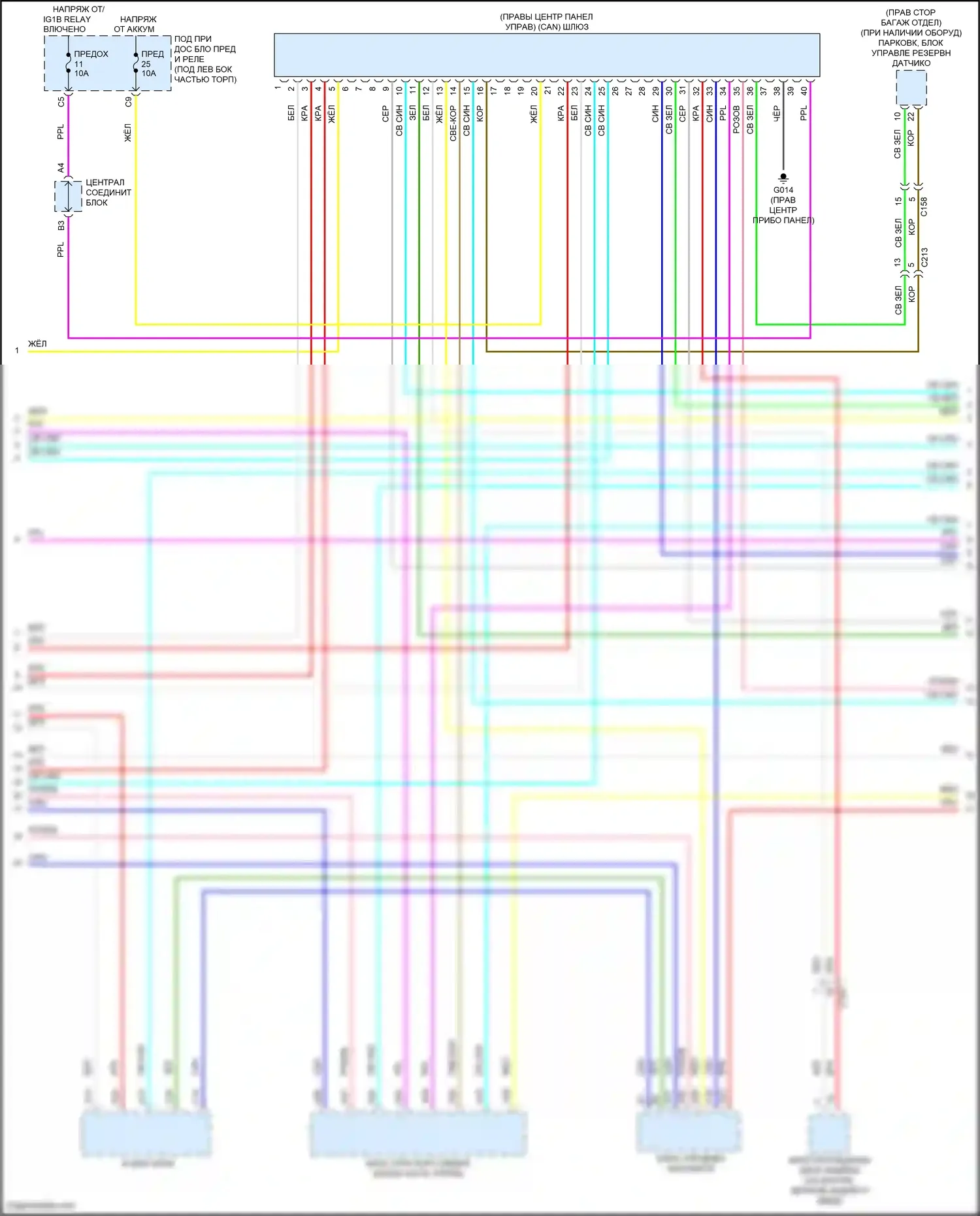 Civic Type R Honda XI (2021-2024): Электросхема компьютерной линии данных, седан (2 из 4) 