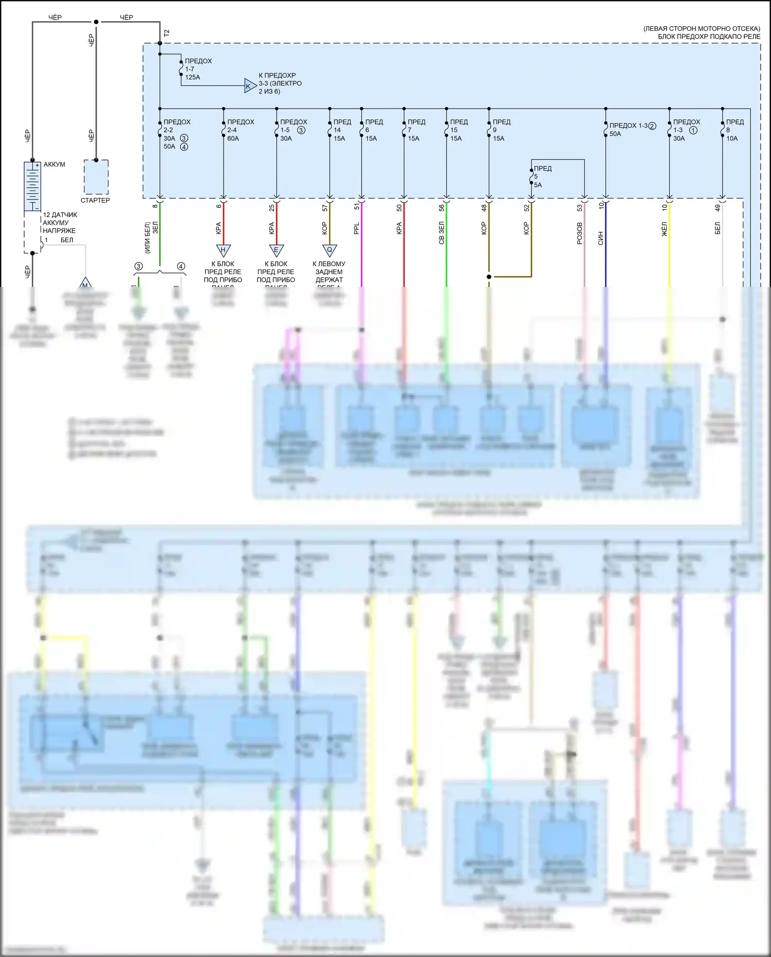 Civic Honda X (2015-2021): Электросхема блока предохранителей реле, хэтчбек (1 из 6) 