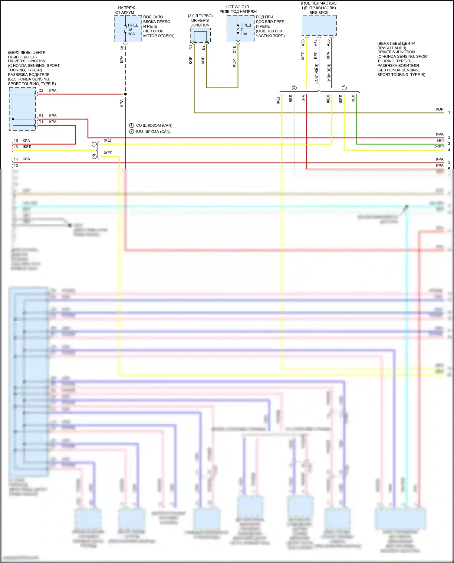 Civic Honda X (2015-2021): Электросхема can шины, хэтчбек (1 из 3) 