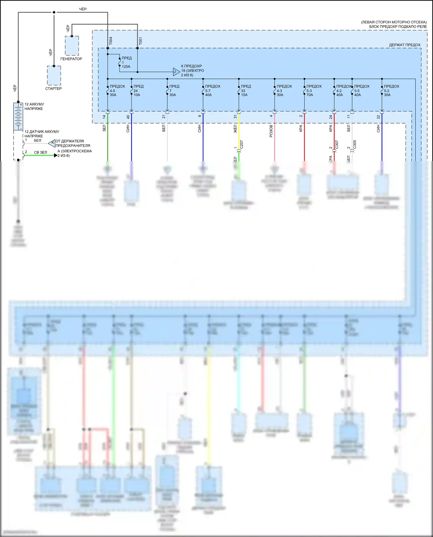 Civic Honda XI (2021-2024): Электросхема блока предохранителей реле, хэтчбек (1 из 6) 