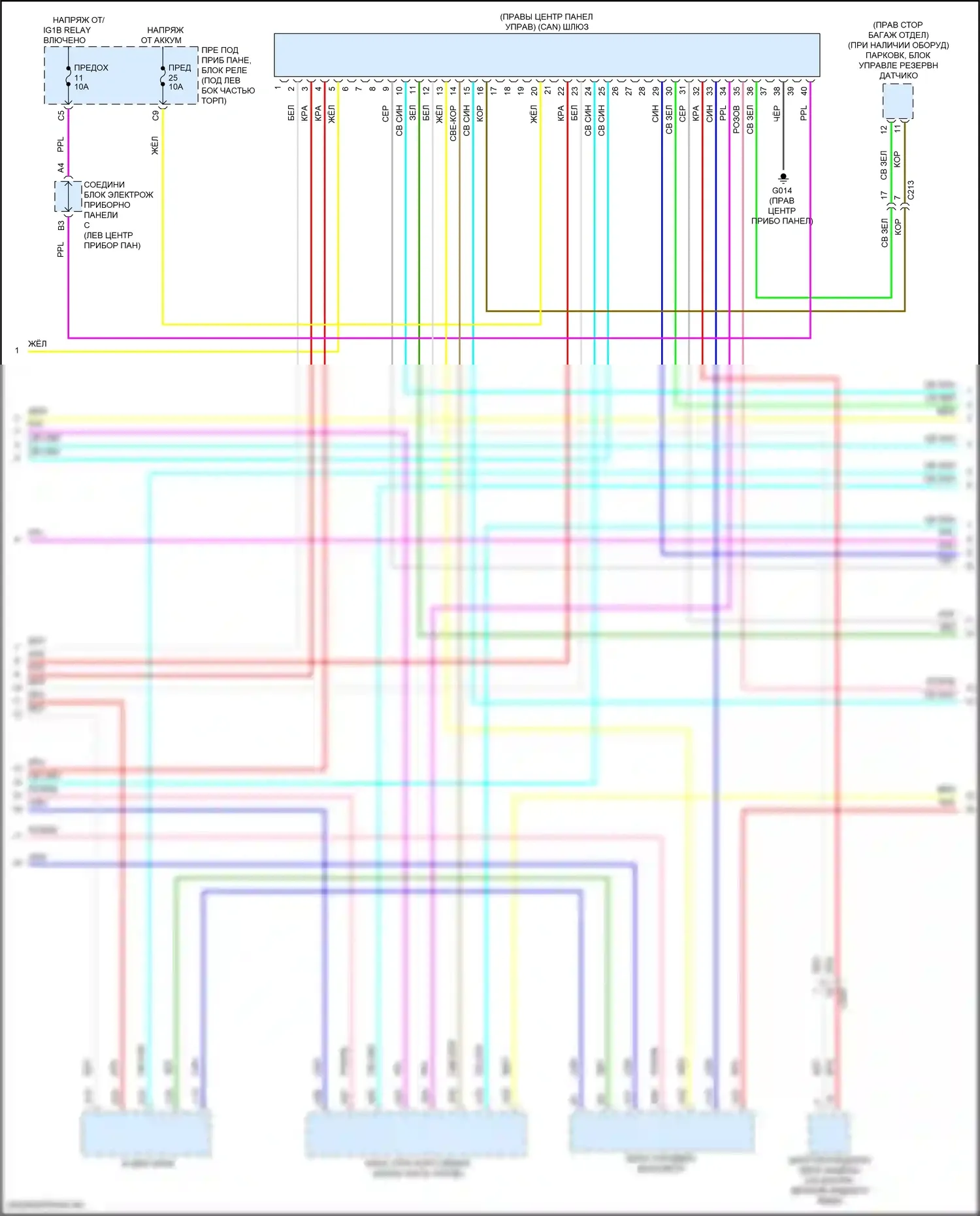 Civic Honda XI (2021-2024): Электросхема компьютерной линии данных, хэтчбек (2 из 4) 