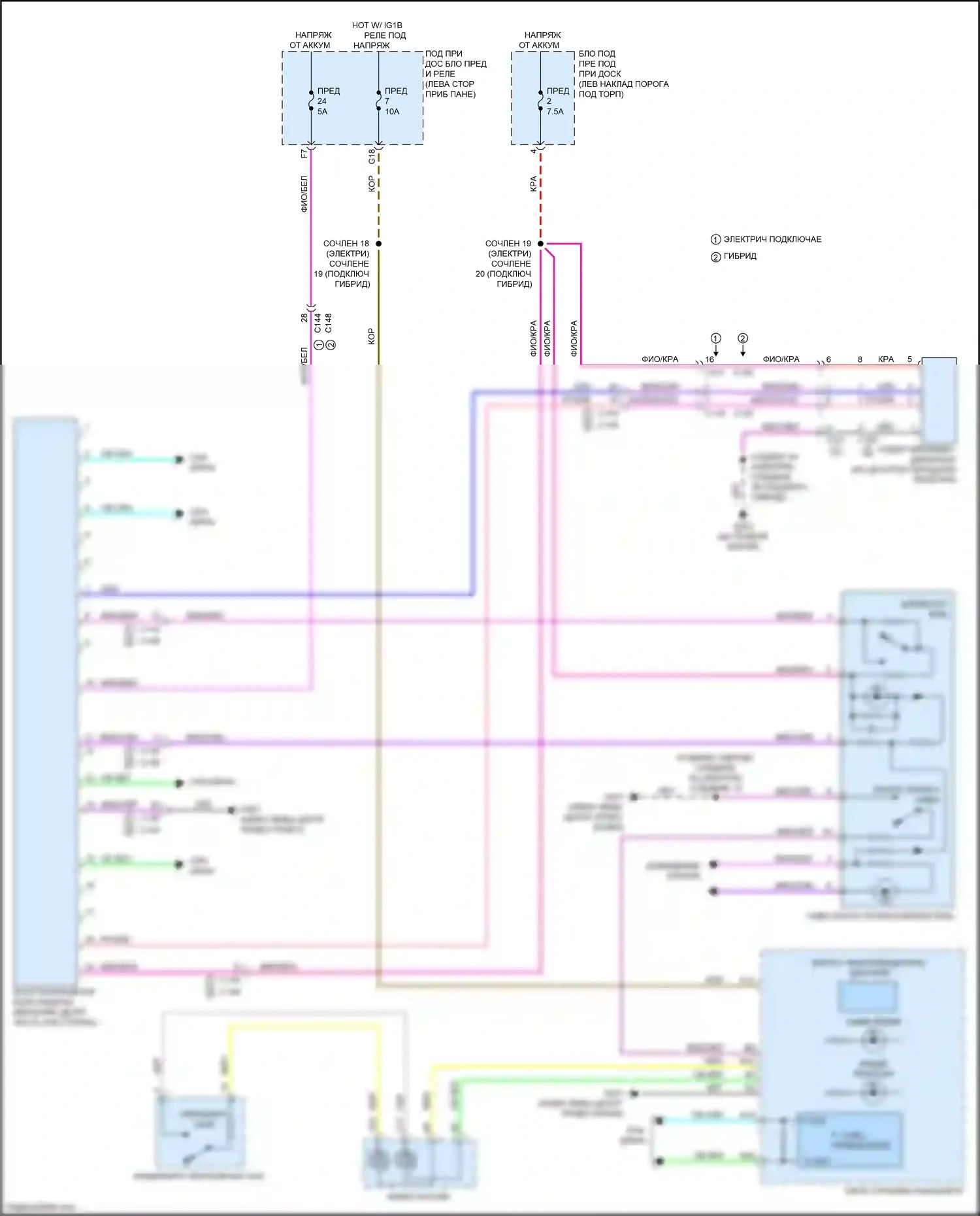 Clarity Honda II (2016-2021): Электросхема многоцелевой камеры 