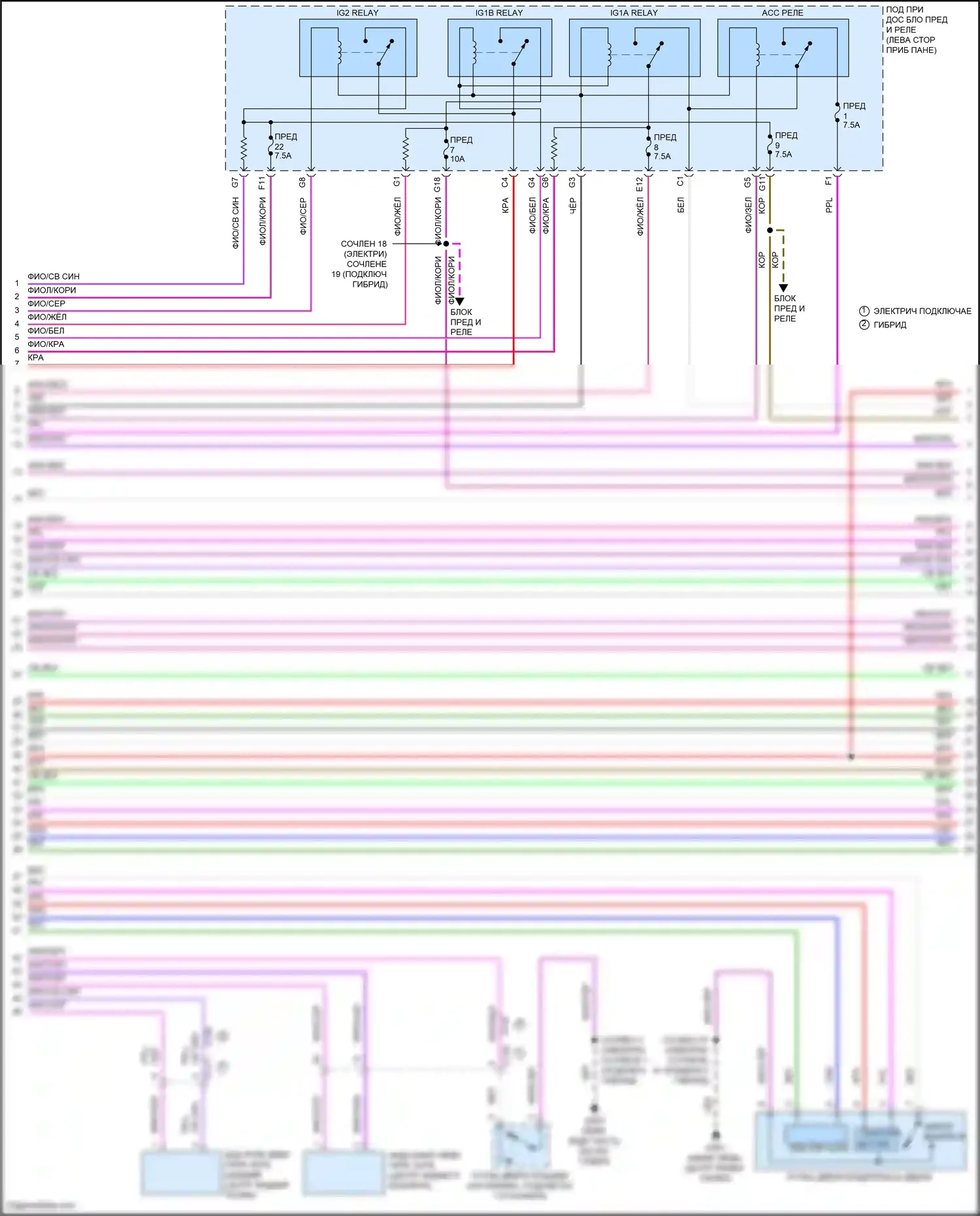 Clarity Honda II (2016-2021): Электросхема центрального замка (2 из 6) 