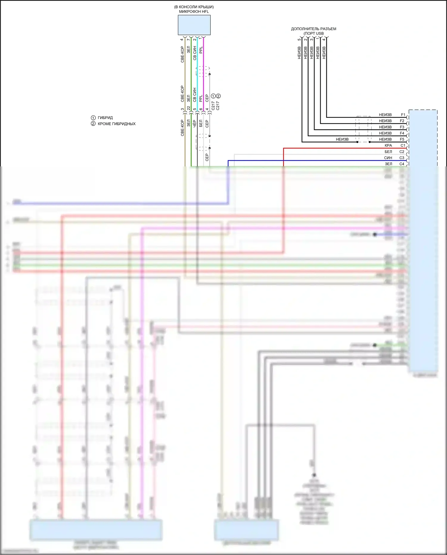CR-V Honda VI (2022-2024): Электросхема магнитолы, 8 динамиков (5 из 5) 