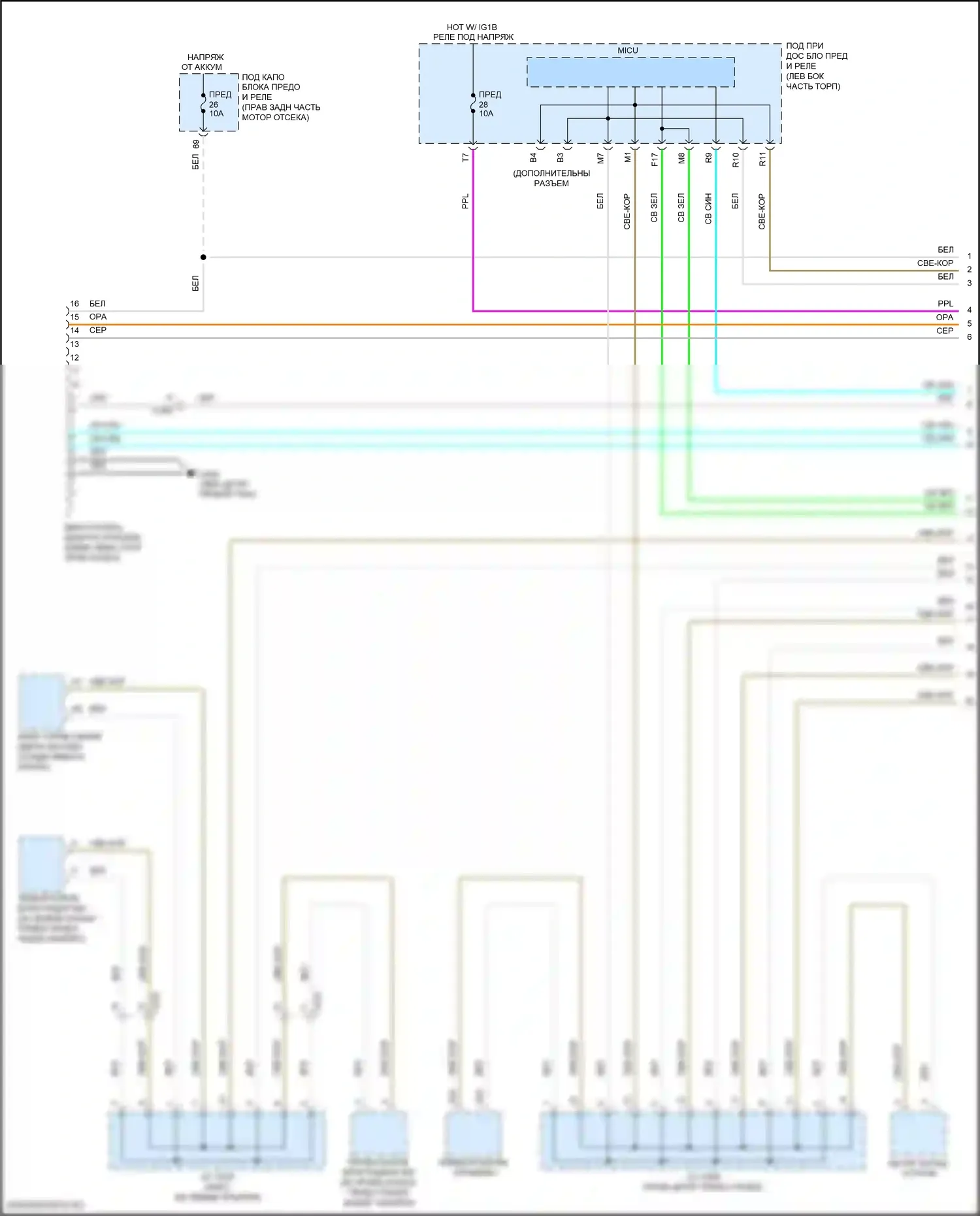 Passport Honda III (2019-2021): Can шина электросхема (1 из 5) 