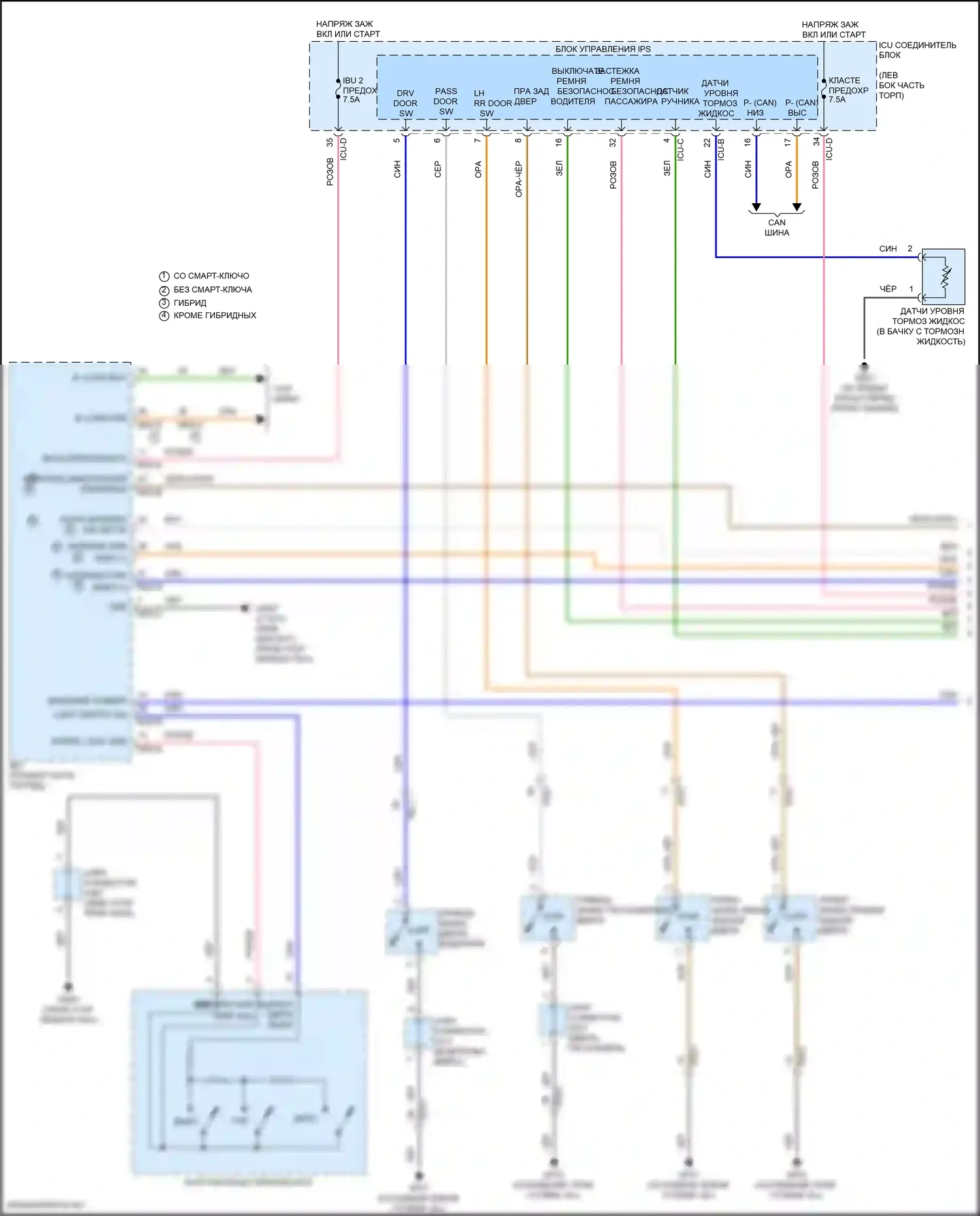 Elantra Hyundai VII рестайлинг (2023-2024): Электросхема звонка (1 из 3) 
