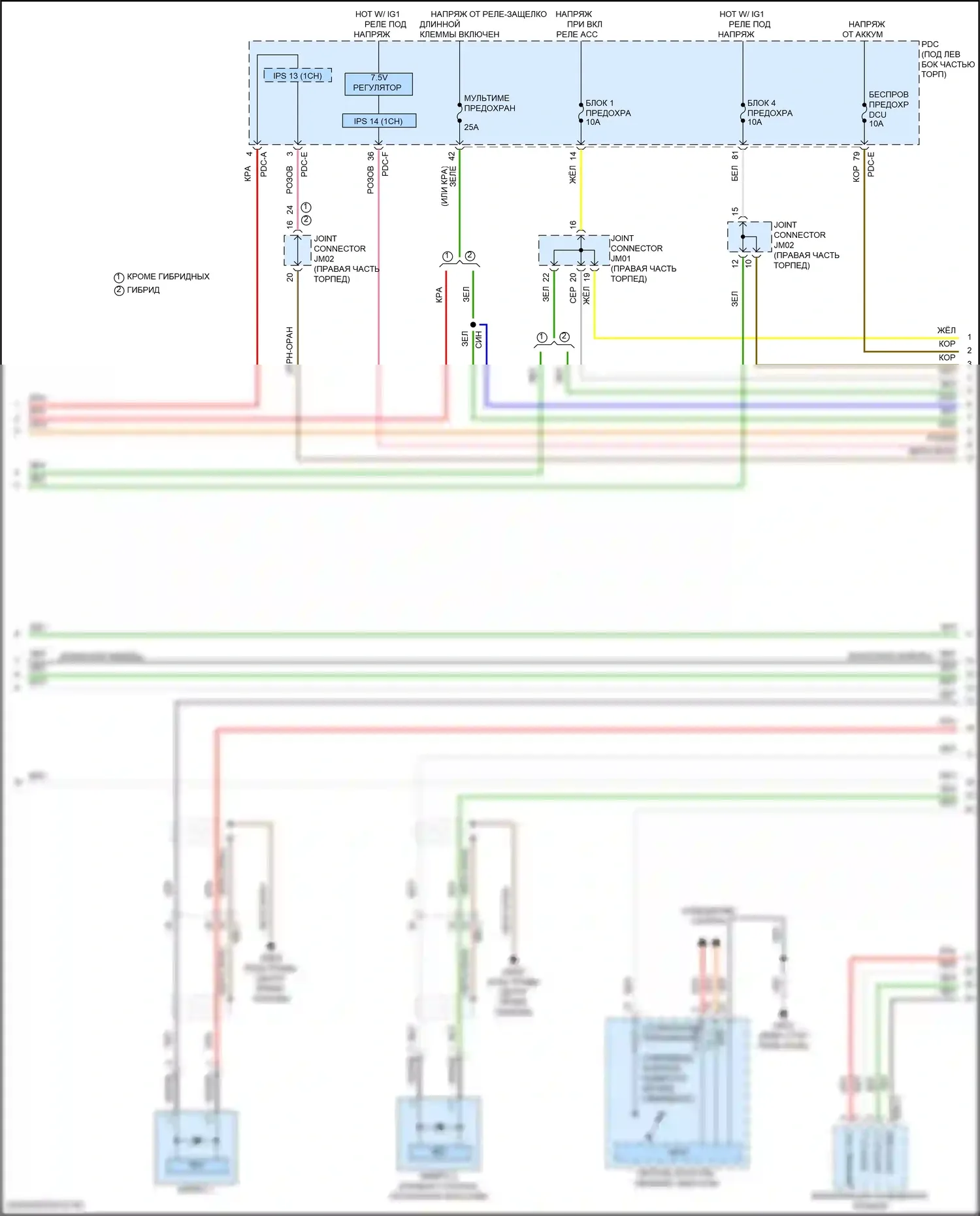 Santa Fe Hyundai V (2023-2024): Электросхема магнитолы, без усилителя (3 из 5) 