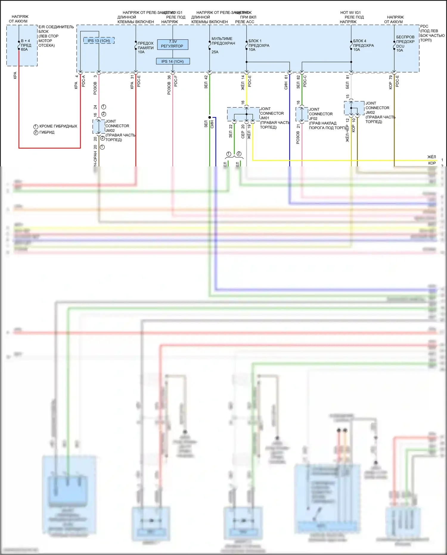 Santa Fe Hyundai V (2023-2024): Электросхема навигации, с усилителем (2 из 5) 