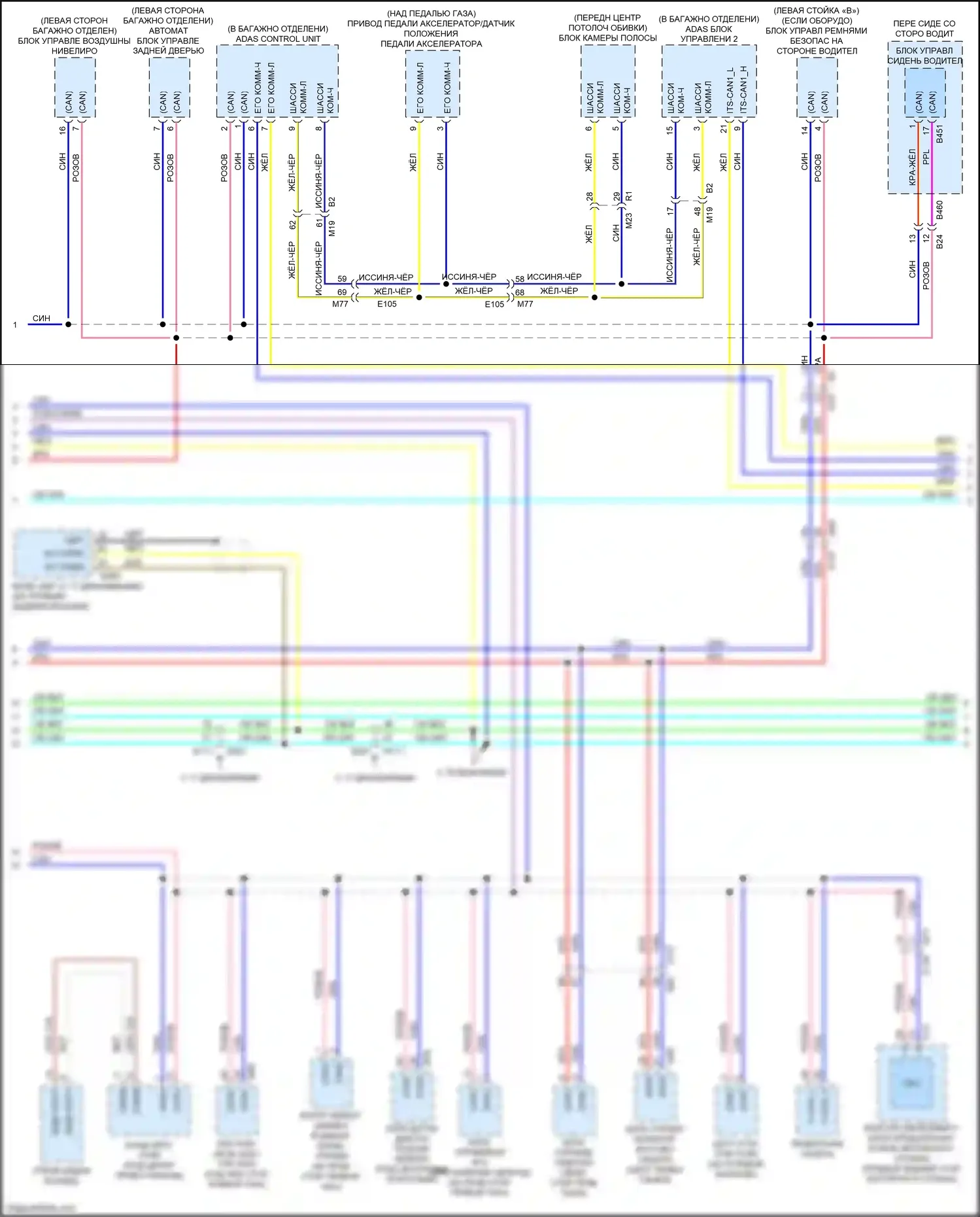 QX80 Infiniti I рестайлинг 2 (2017-2022): Can шина электросхема (2 из 3) 
