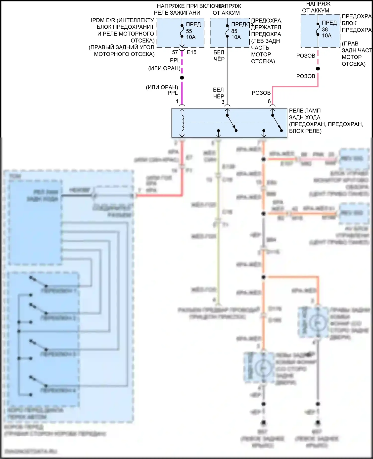 QX80 Infiniti I рестайлинг 3 (2020-2024): Электросхема фонарей заднего хода 