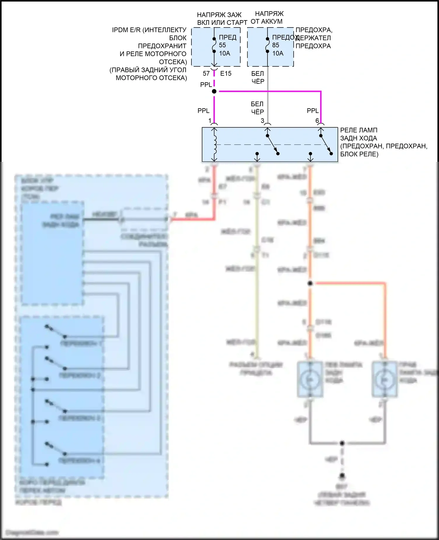 QX80 Infiniti I (2013-2014): Электросхема фонарей заднего хода 