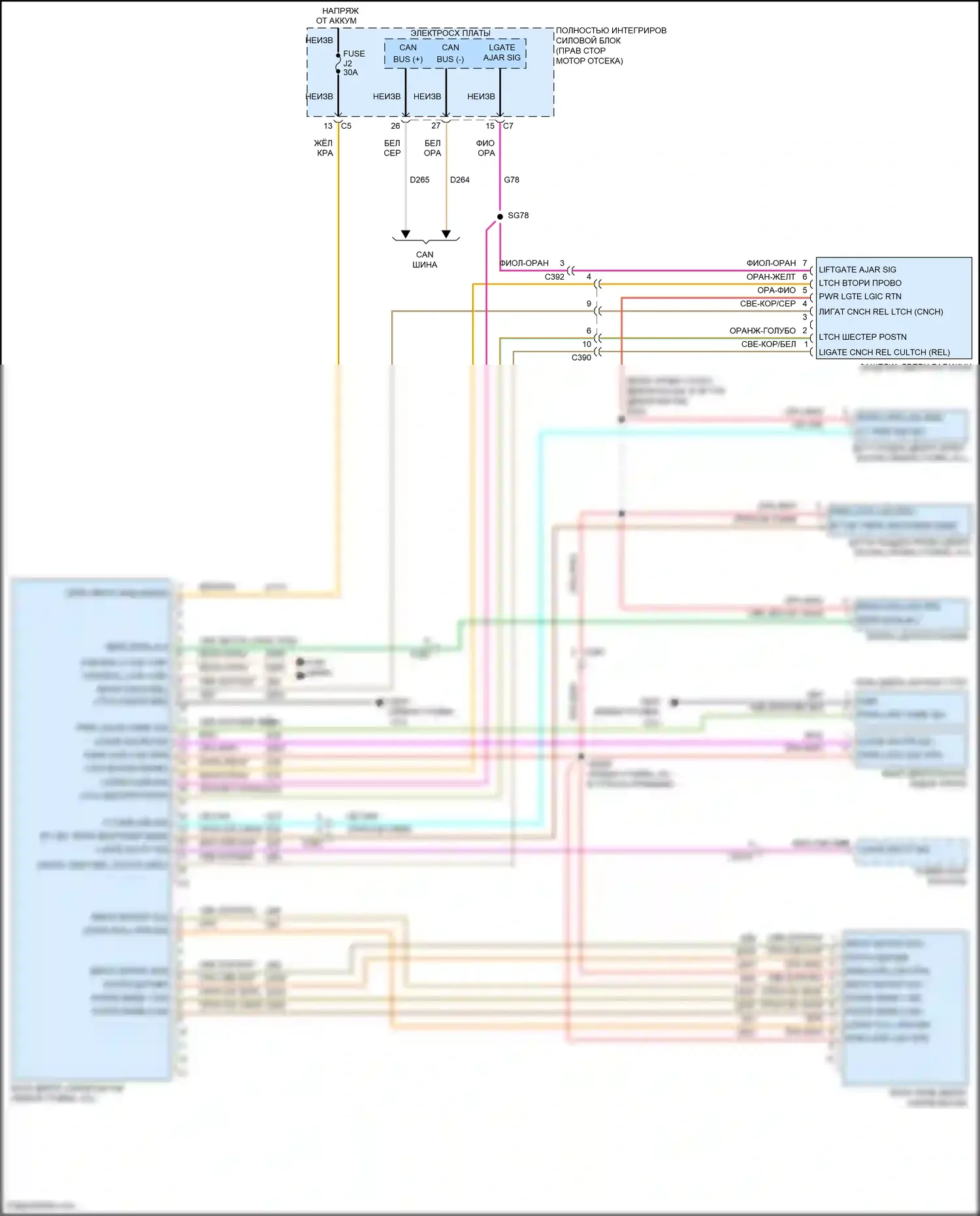 Grand Cherokee Jeep WK2 (2010-2013): Электросхема двери силового багажника 