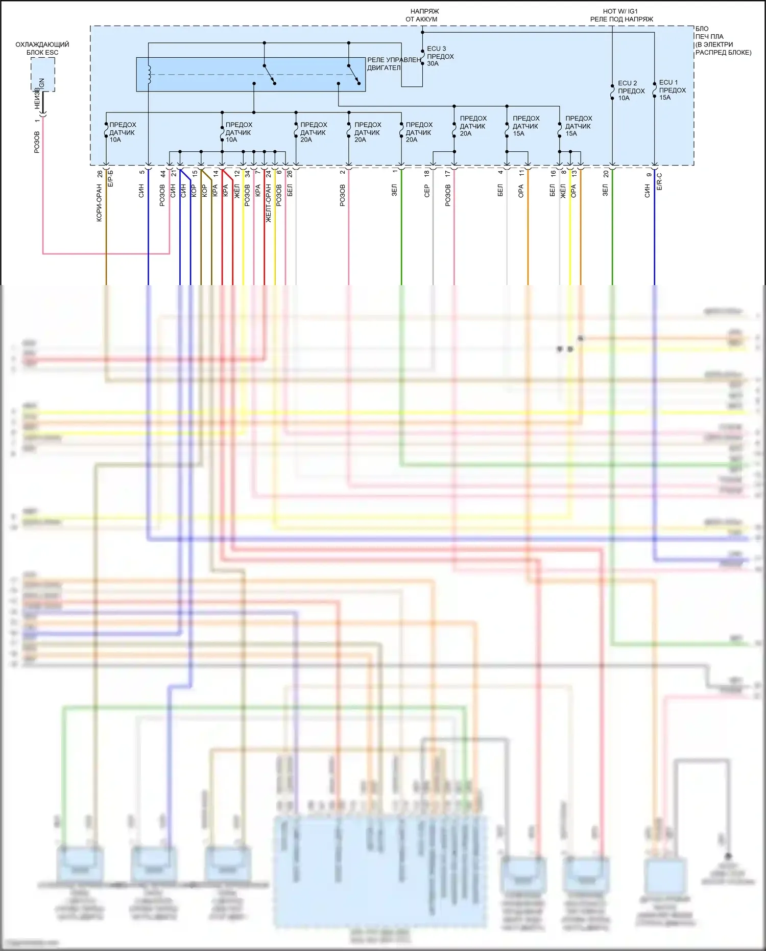 Carnival Kia IV рестайлинг (2023-2024): Электросхема двигателя 3.5l (4 из 8) 