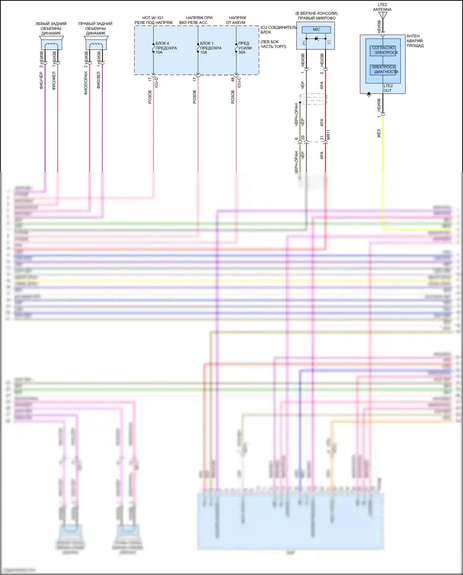 Carnival Kia IV (2020-2024): Электросхема навигации, с усилителем (3 из 5) 