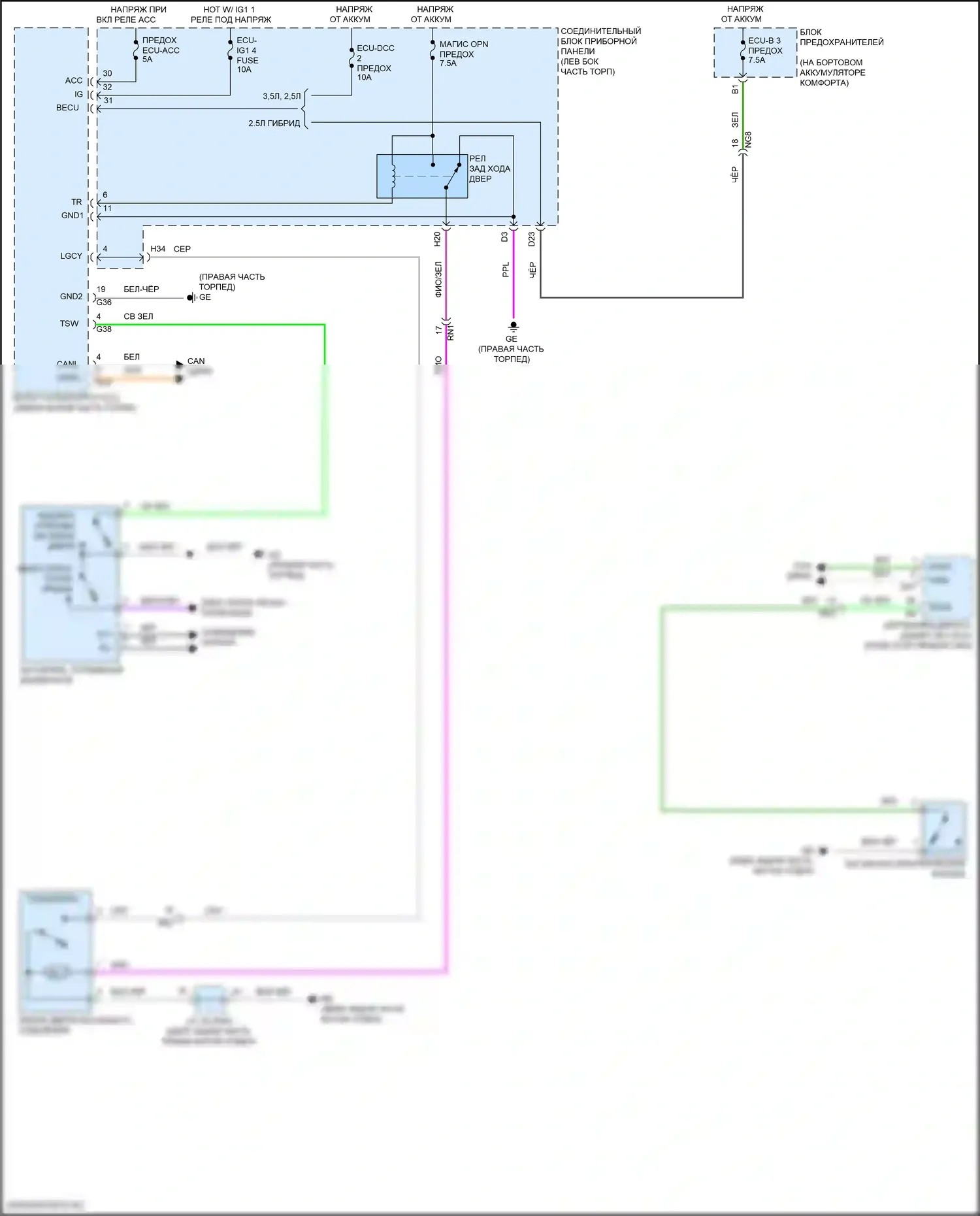 ES Lexus XV70 рестайлинг (2021-2024): Открывалка багажника и более близкая электросхема, без крышки багажника питания 