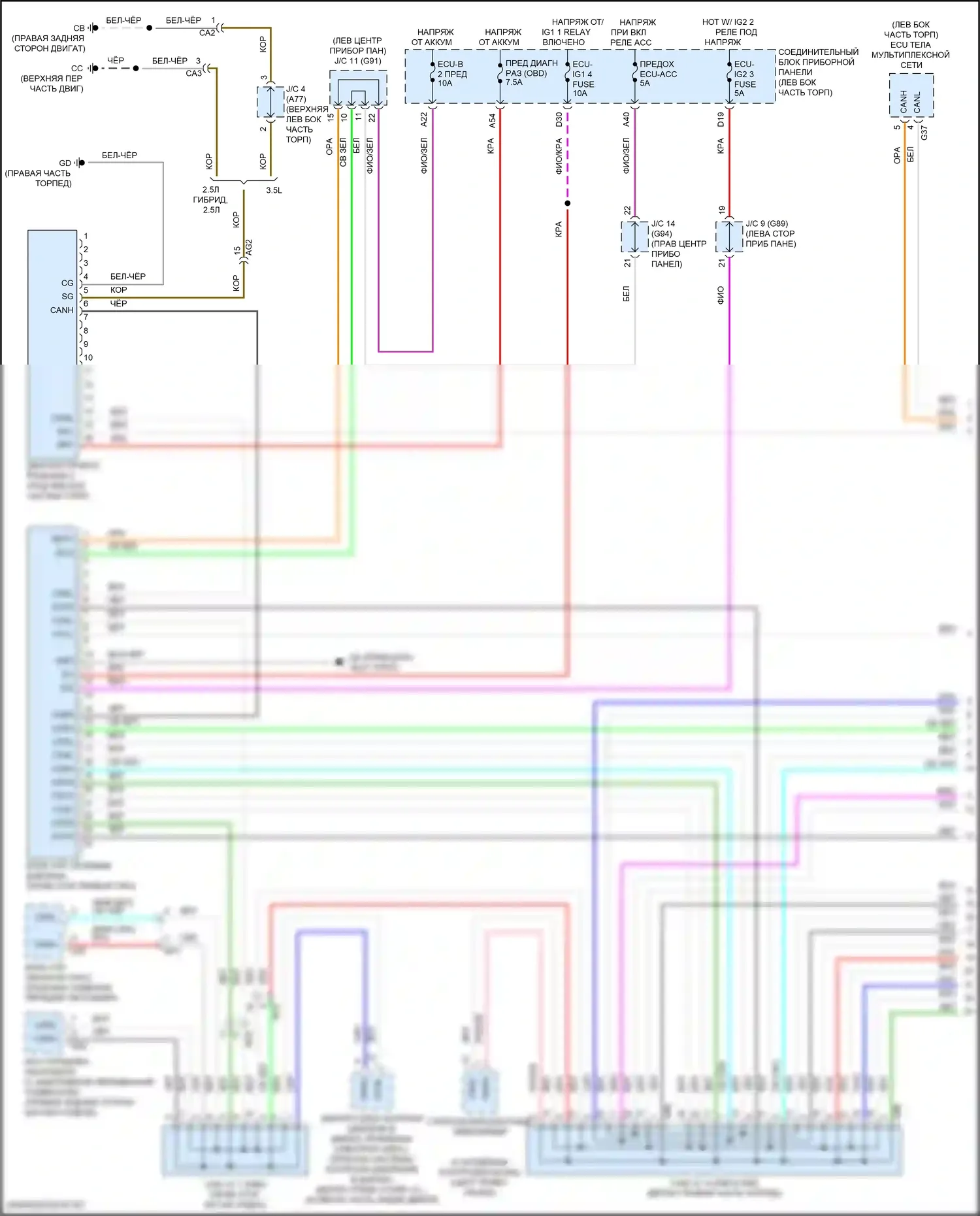 ES Lexus XV70 рестайлинг (2021-2024): Can шина электросхема (1 из 5) 
