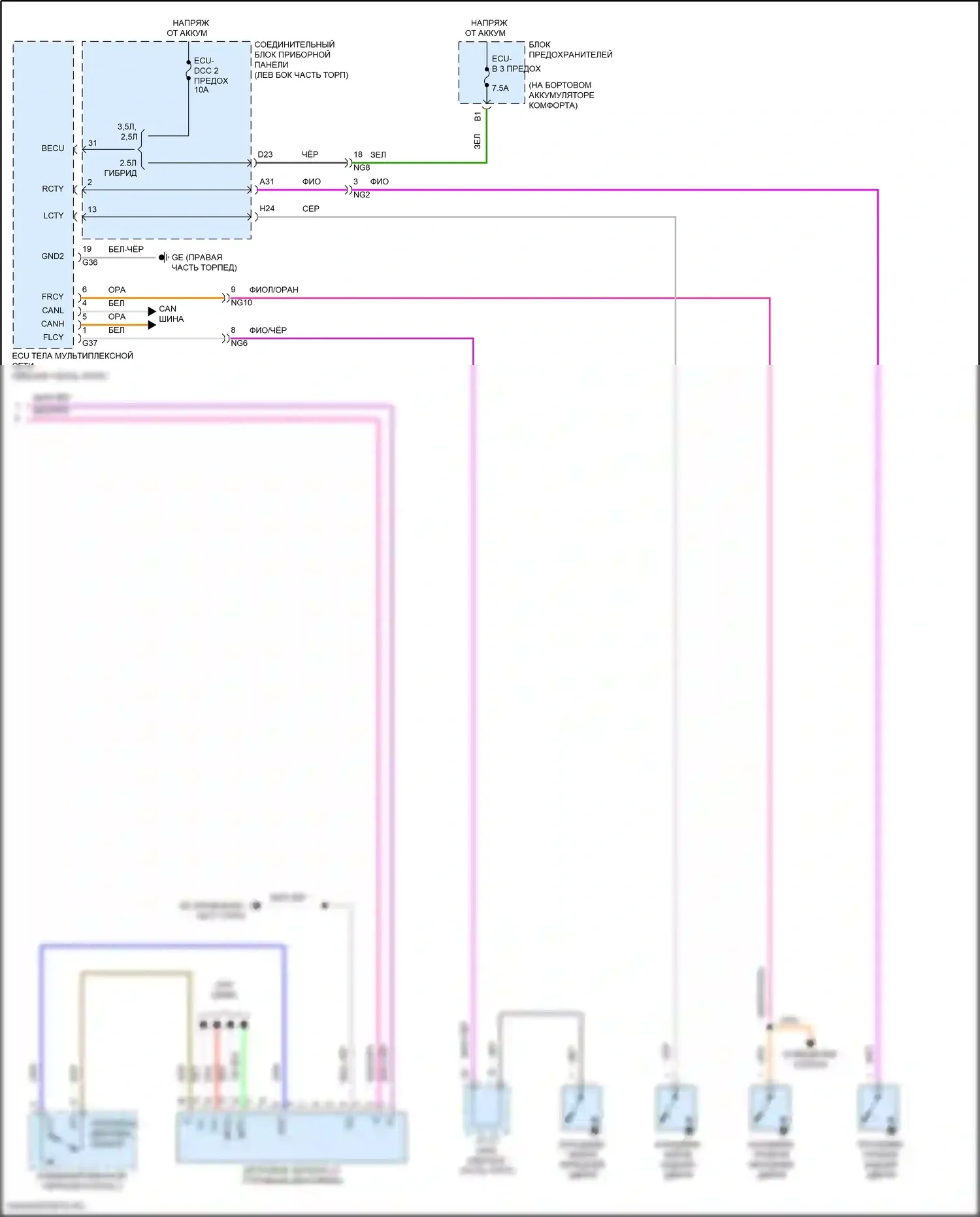 ES Lexus XV70 рестайлинг (2021-2024): Электросхема приборной панели (3 из 3) 