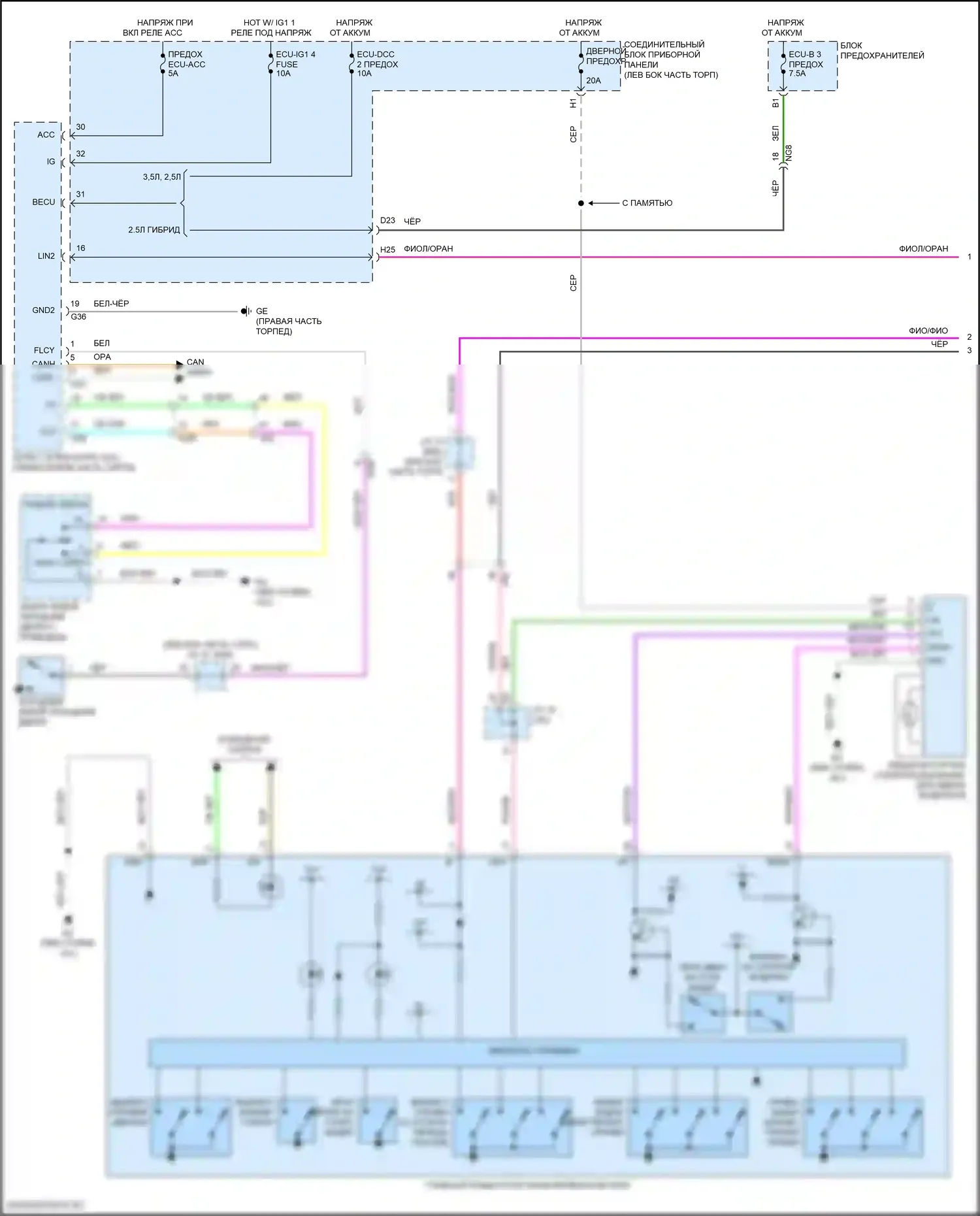 ES Lexus XV70 рестайлинг (2021-2024): Электросхема стеклоподъемников (1 из 3) 