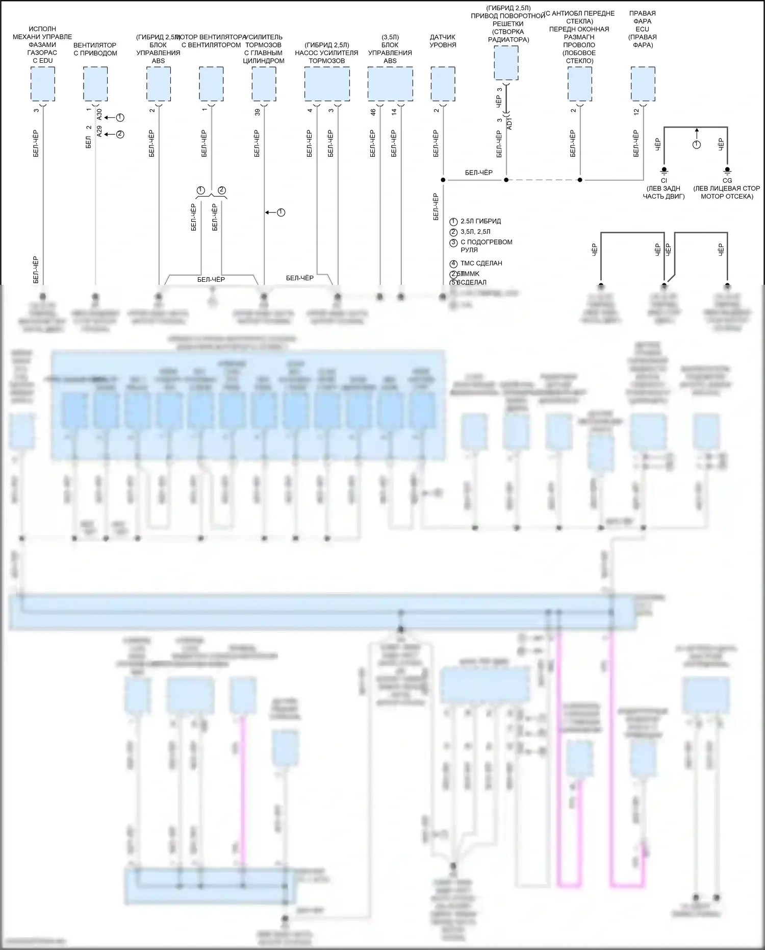 ES Lexus XV70 рестайлинг (2021-2024): Электросхема точек подключения масс (1 из 5) 