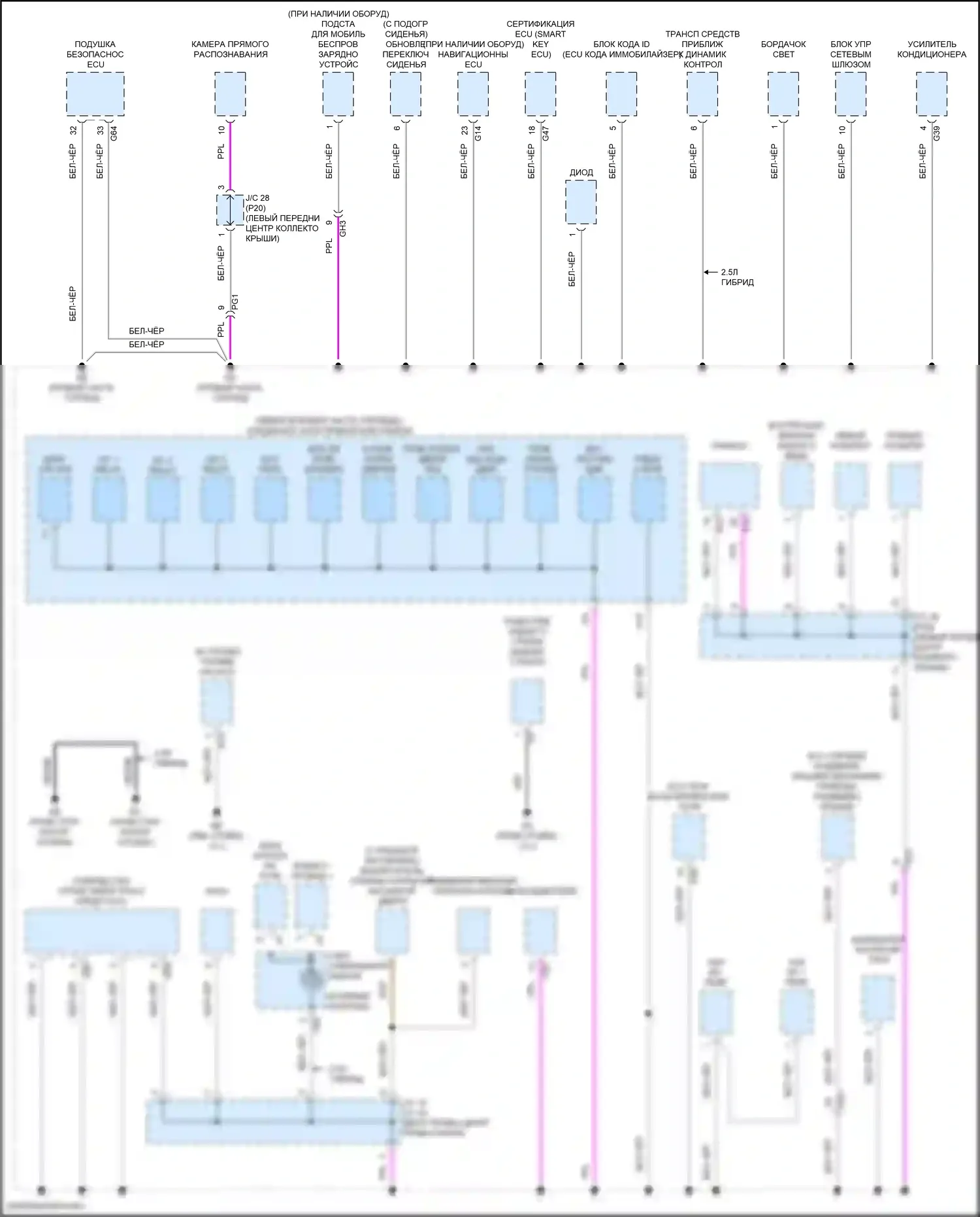 ES Lexus XV70 рестайлинг (2021-2024): Электросхема точек подключения масс (2 из 5) 