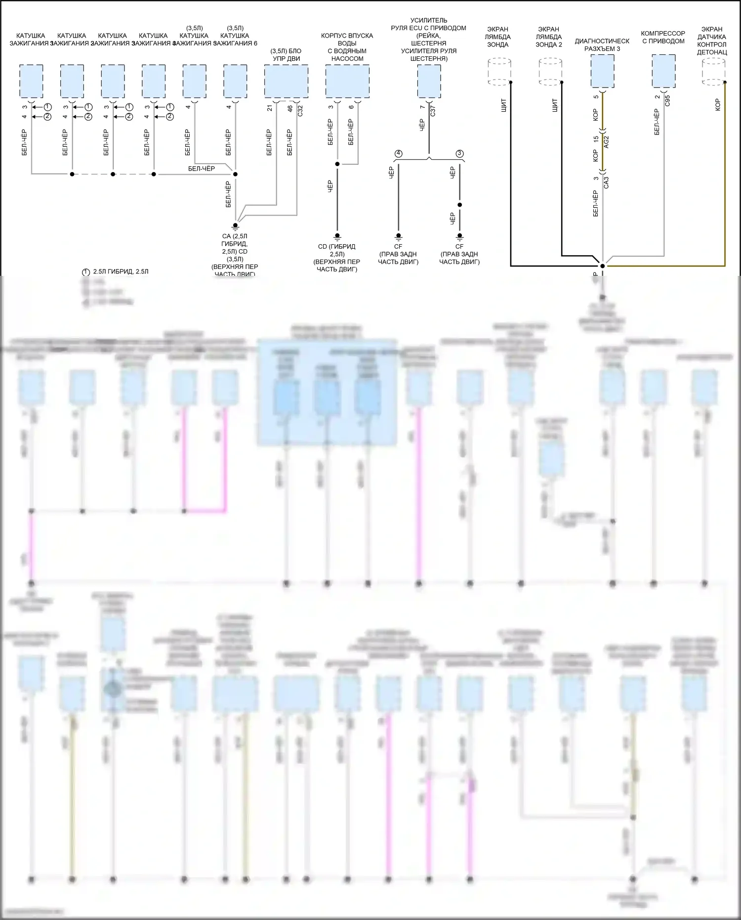 ES Lexus XV70 рестайлинг (2021-2024): Электросхема точек подключения масс (3 из 5) 
