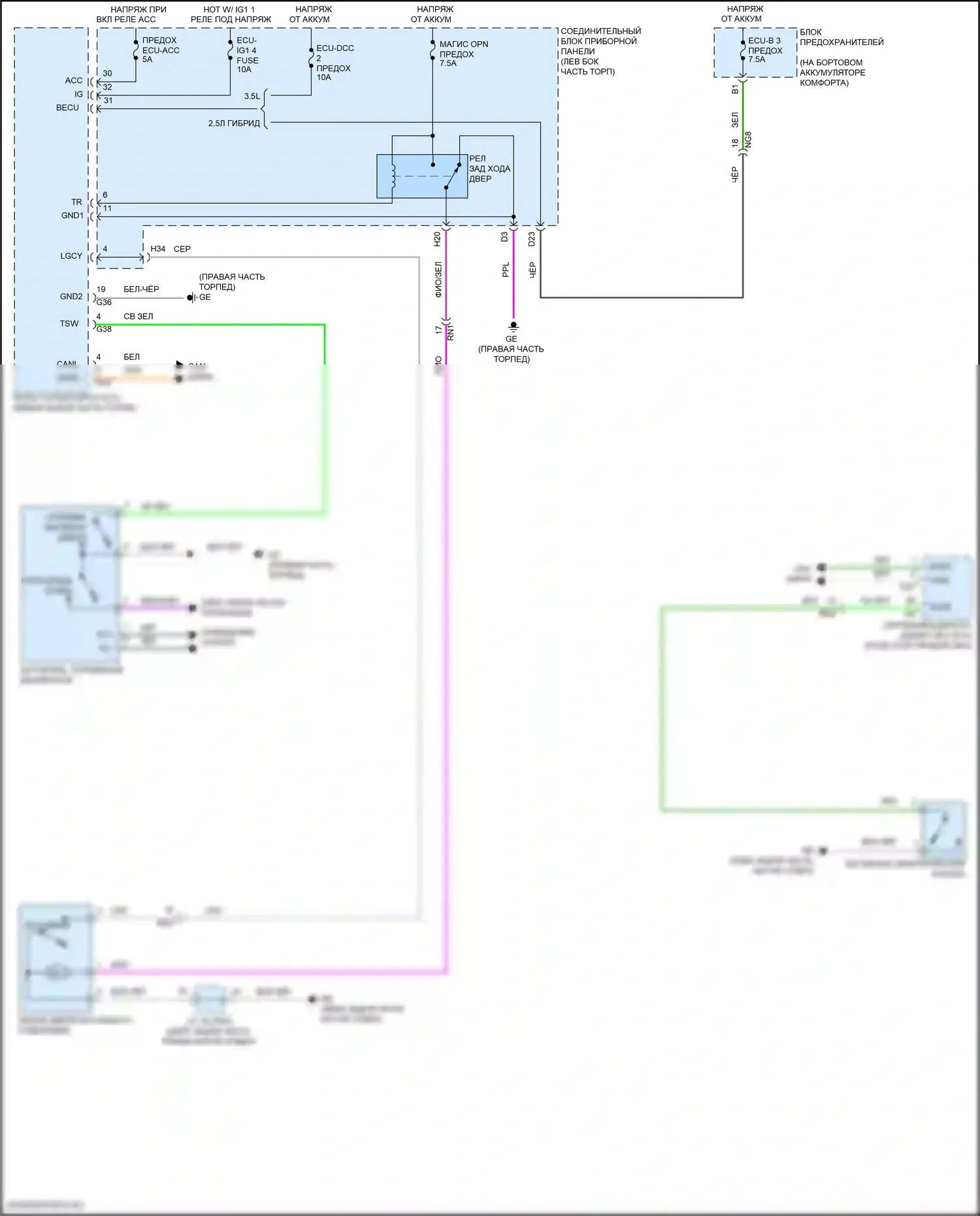 ES Lexus XV70 (2018-2021): Открывалка багажника и более близкая электросхема, без крышки багажника питания 