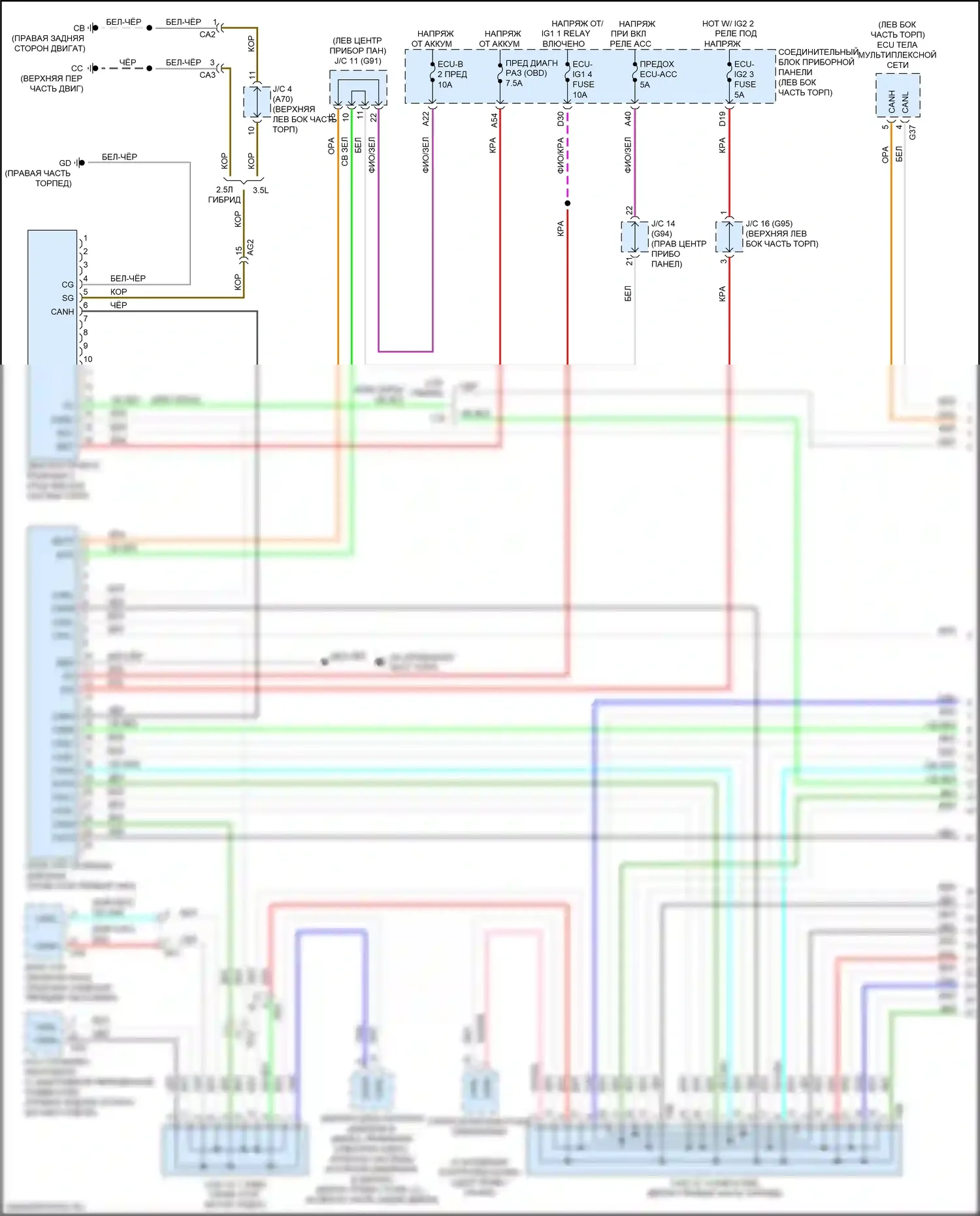 ES Lexus XV70 (2018-2021): Can шина электросхема (1 из 4) 