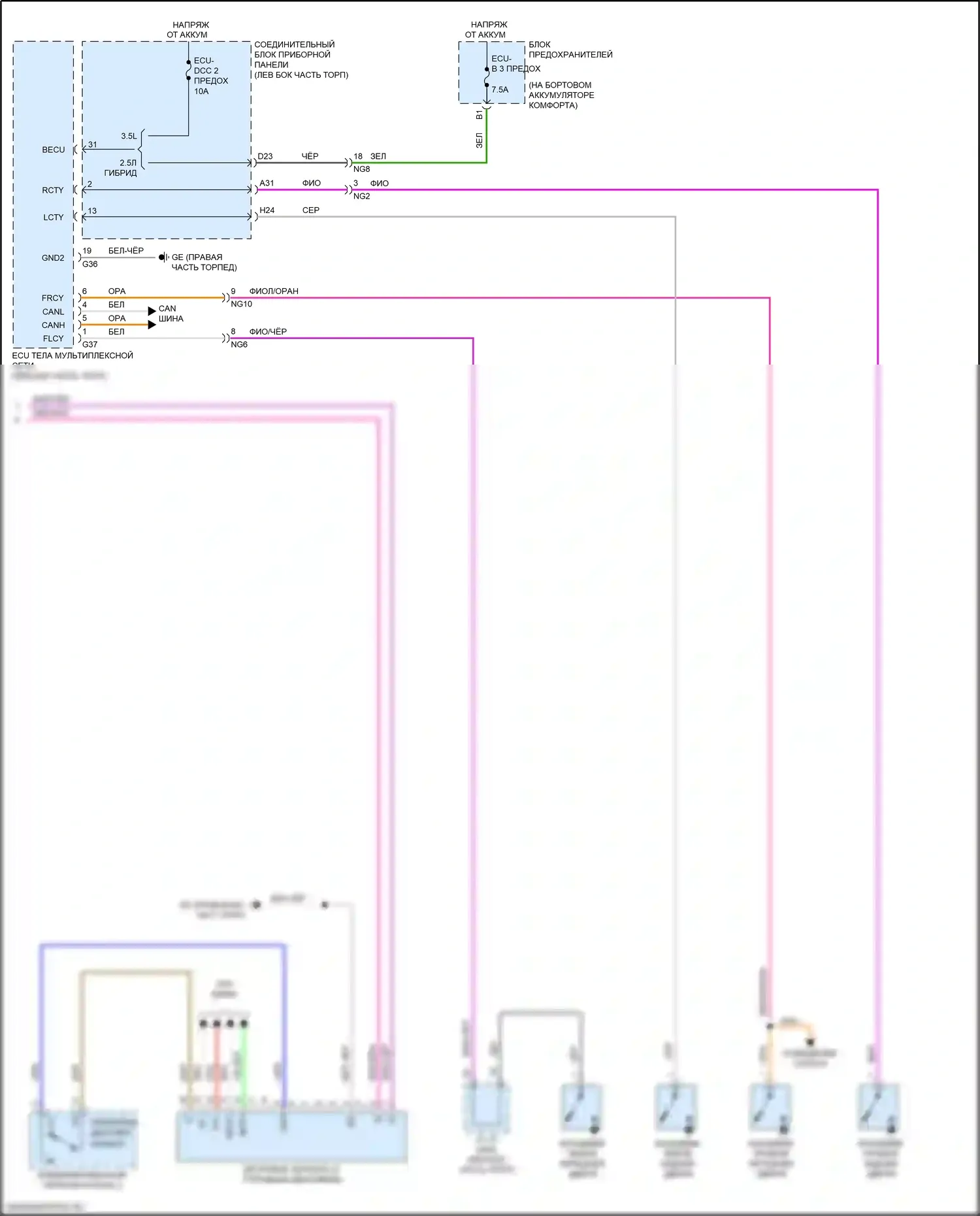 ES Lexus XV70 (2018-2021): Электросхема приборной панели (3 из 3) 