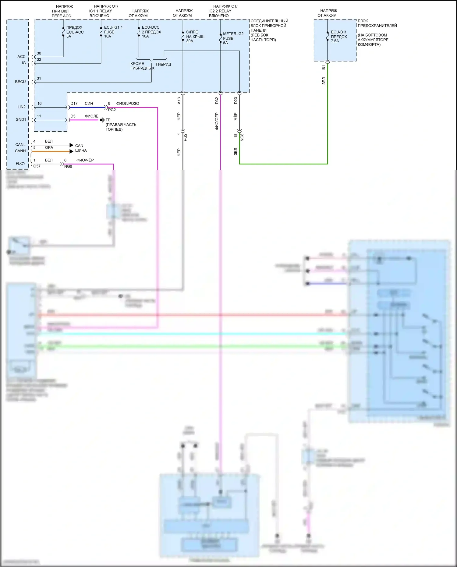 ES Lexus XV70 (2018-2021): Электросхема люка 