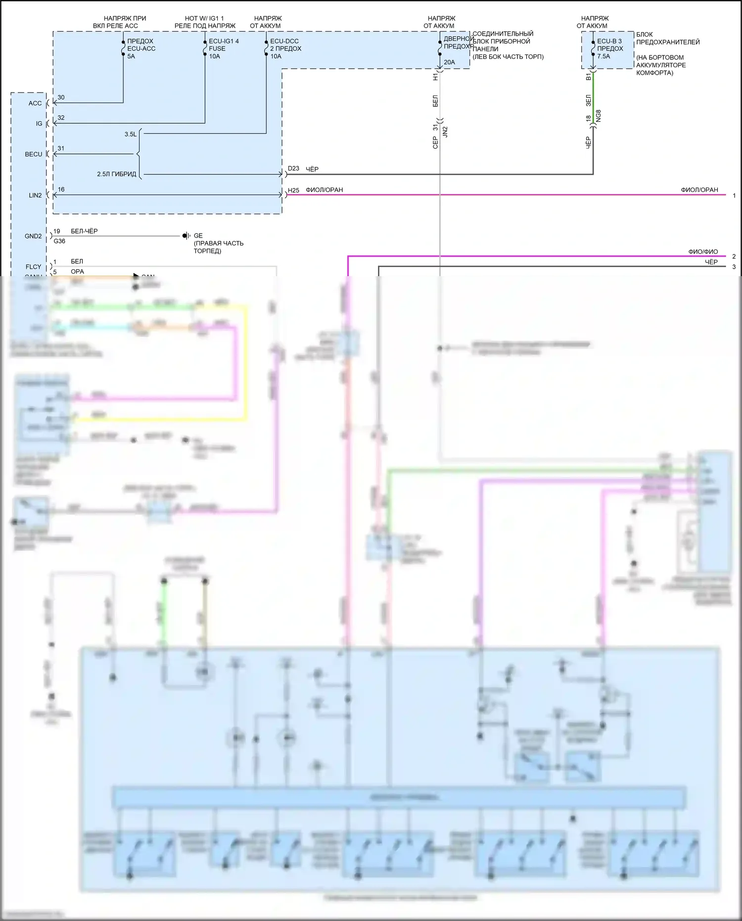ES Lexus XV70 (2018-2021): Электросхема стеклоподъемников (1 из 3) 