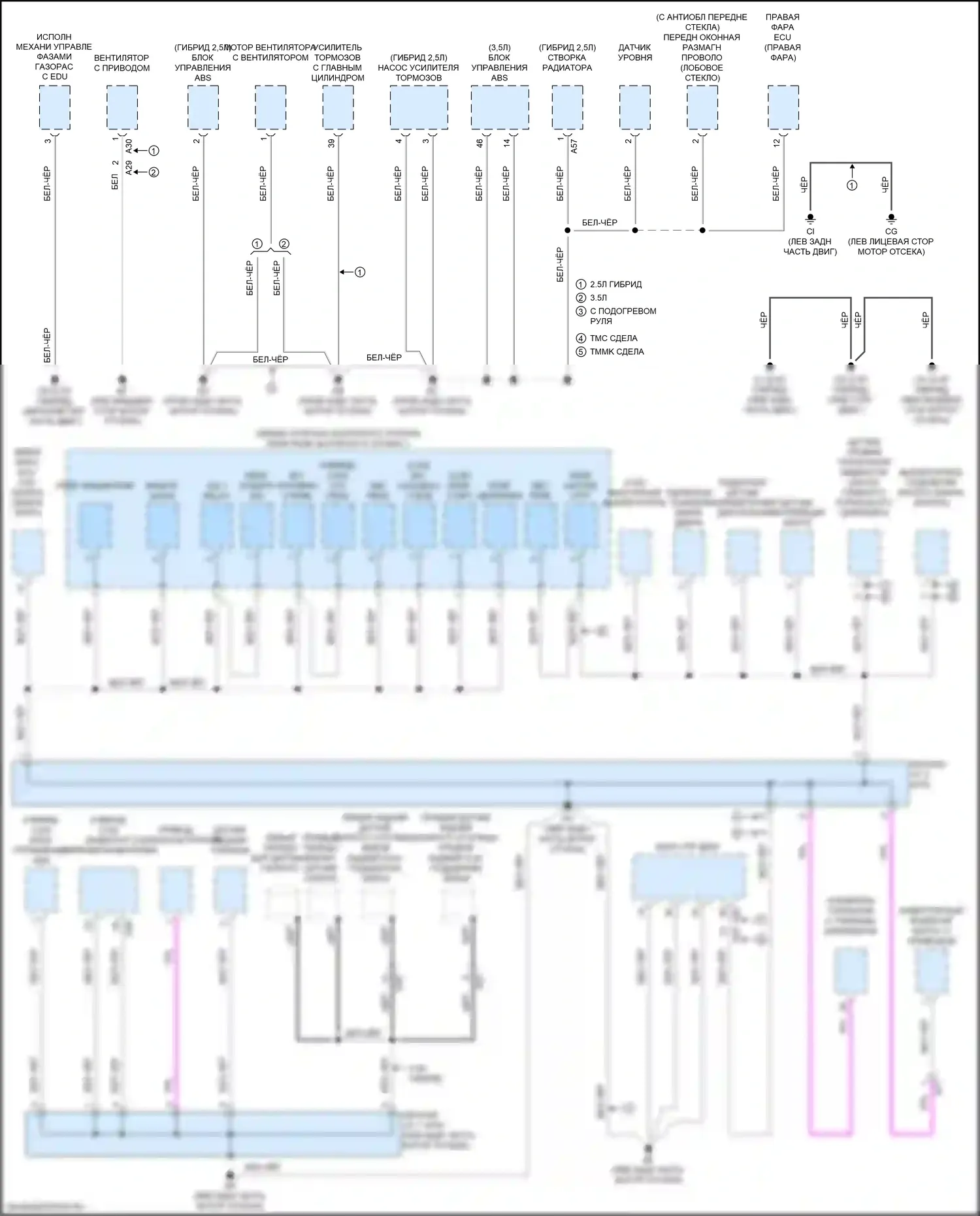 ES Lexus XV70 (2018-2021): Электросхема точек подключения масс (1 из 5) 